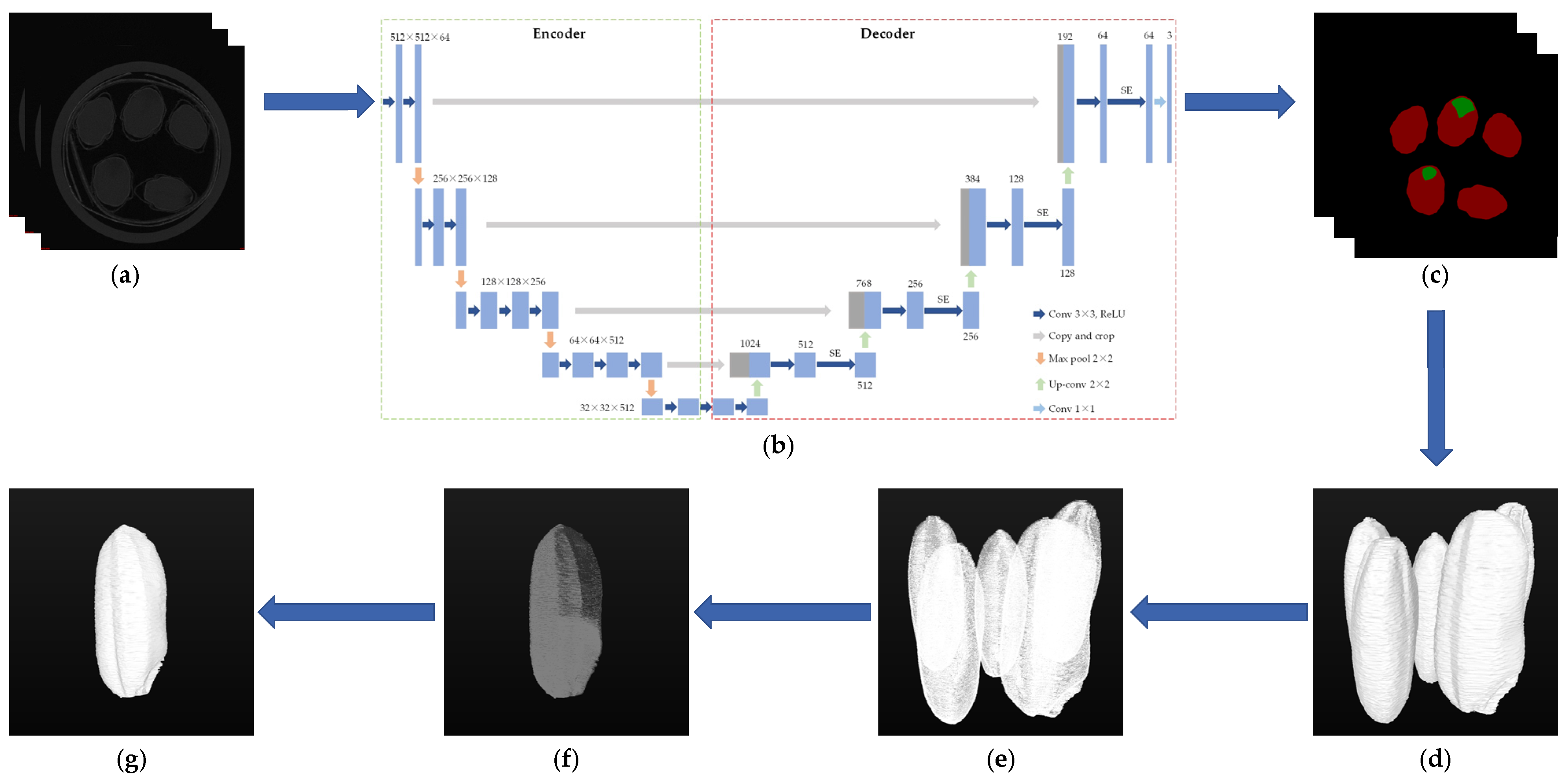 Agronomy 15 00450 g005