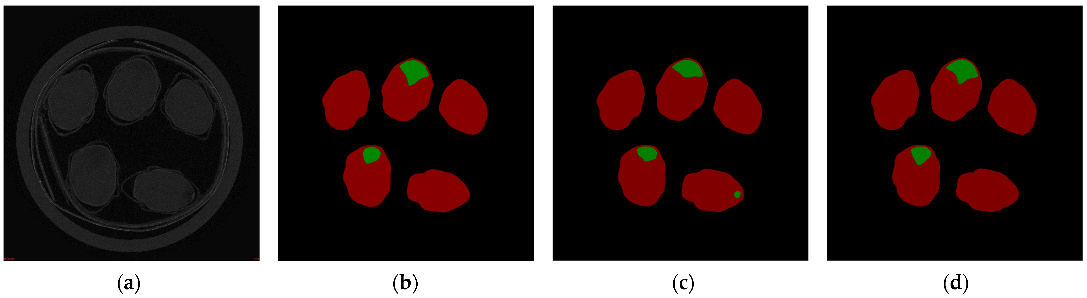 Agronomy 15 00450 g006