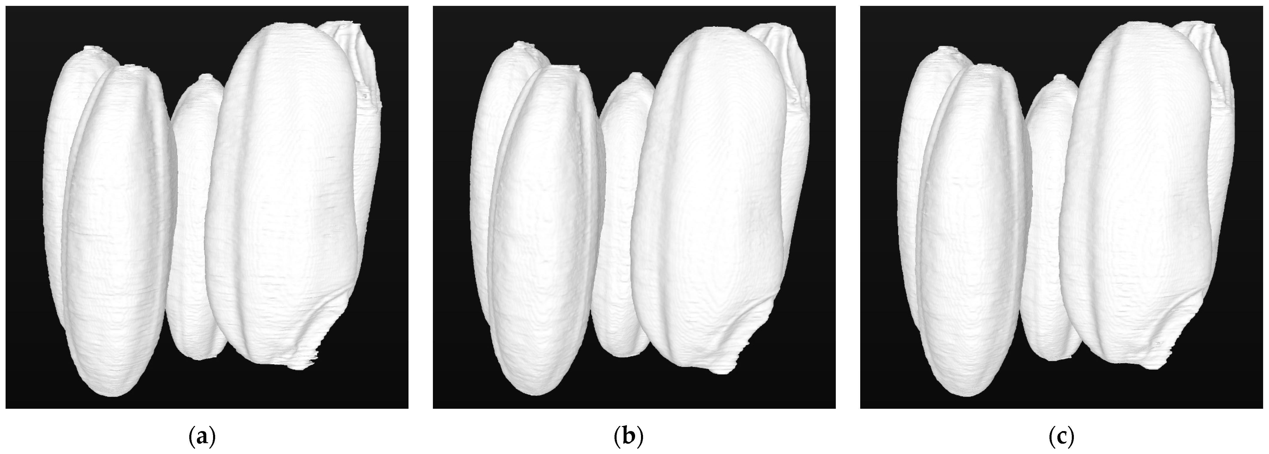 Agronomy 15 00450 g007