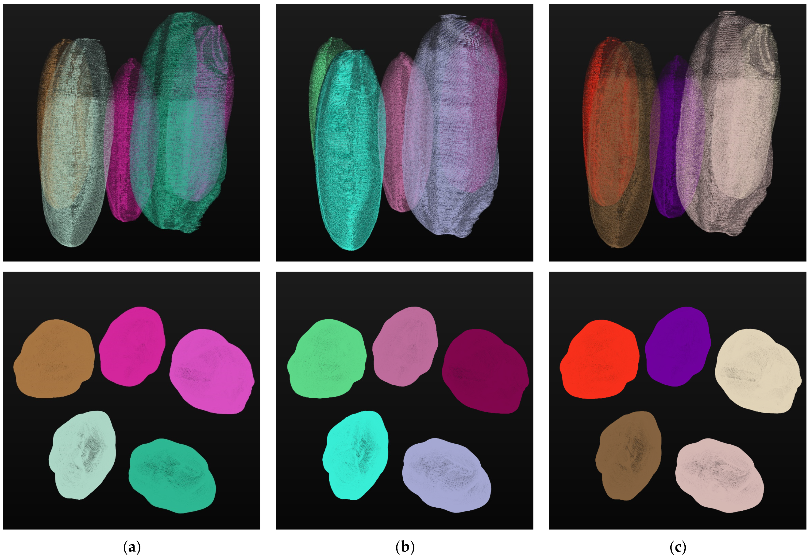 Agronomy 15 00450 g008