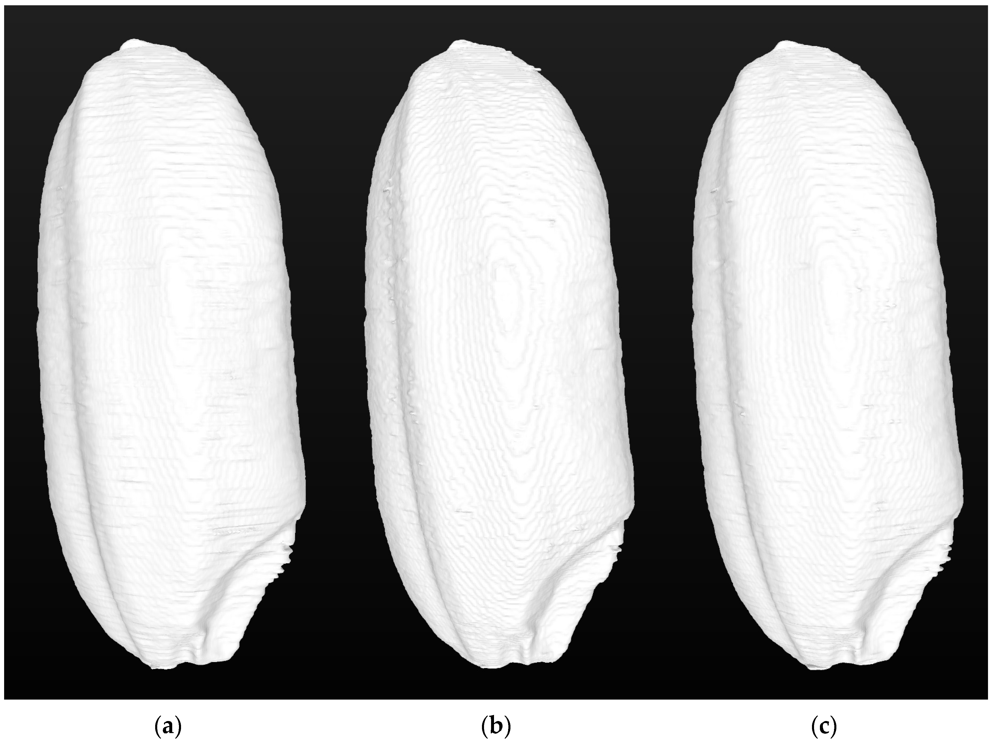 Agronomy 15 00450 g010
