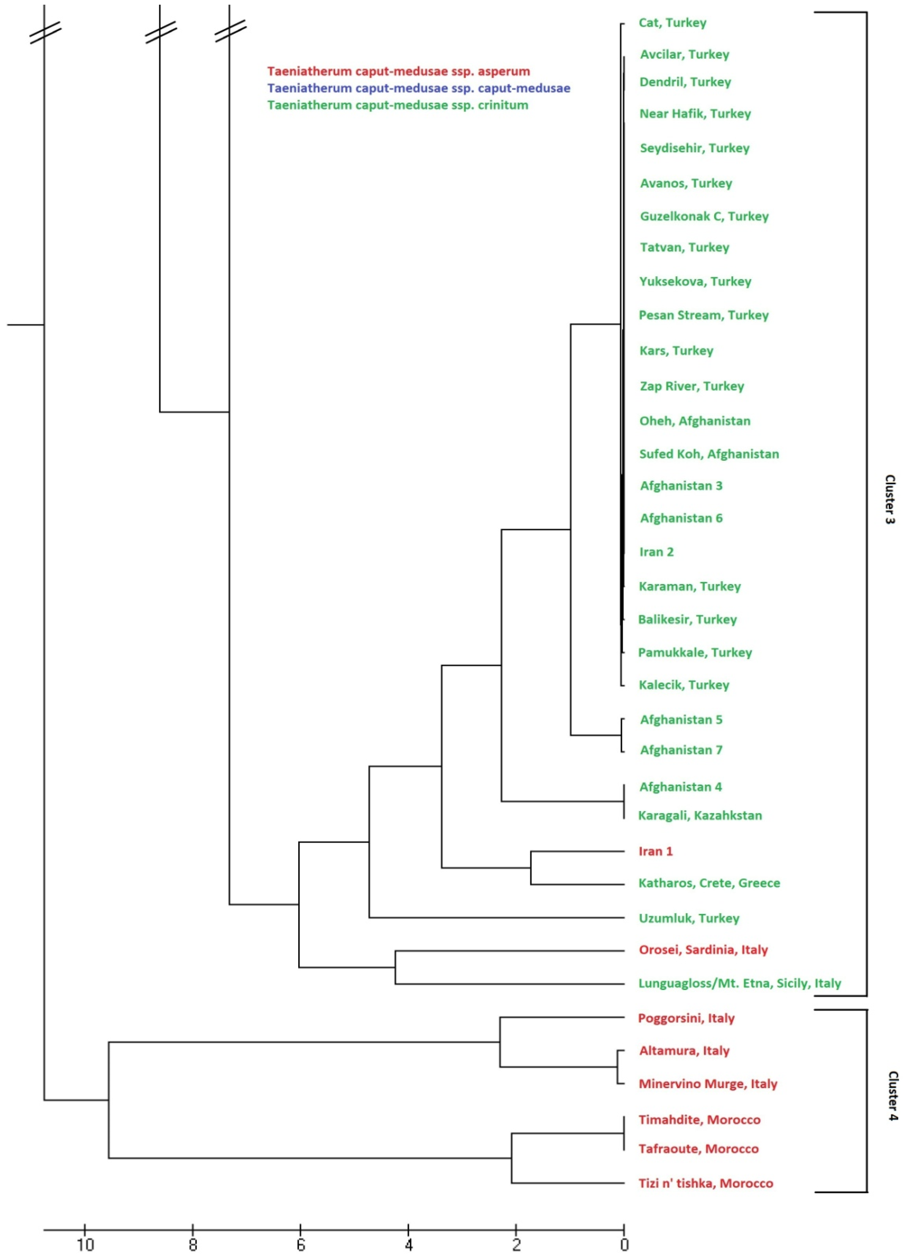 Agronomy 15 00454 g004b