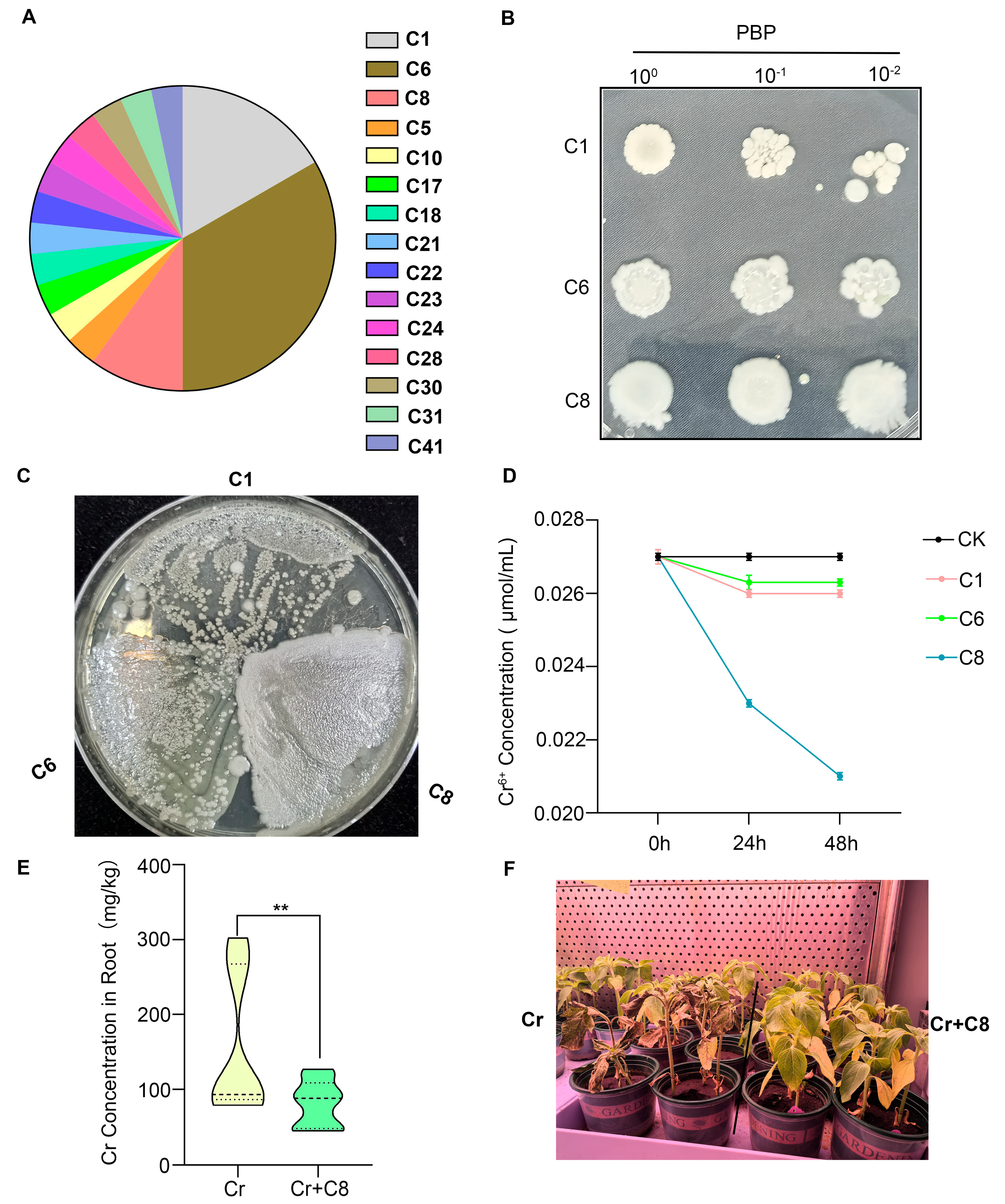 Agronomy 15 00464 g004