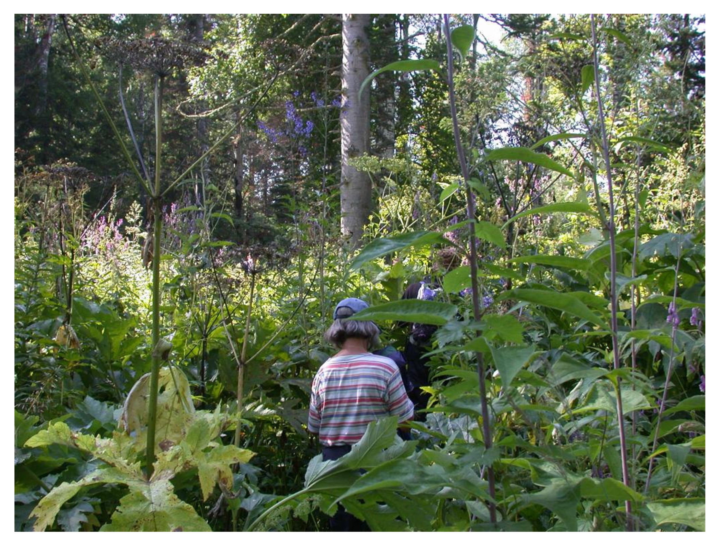 Agronomy 15 00487 g001