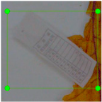 Agronomy 15 00489 i001