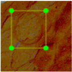 Agronomy 15 00489 i005