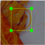 Agronomy 15 00489 i006