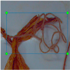 Agronomy 15 00489 i008