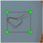 Agronomy 15 00489 i010