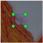 Agronomy 15 00489 i015