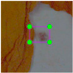 Agronomy 15 00489 i018