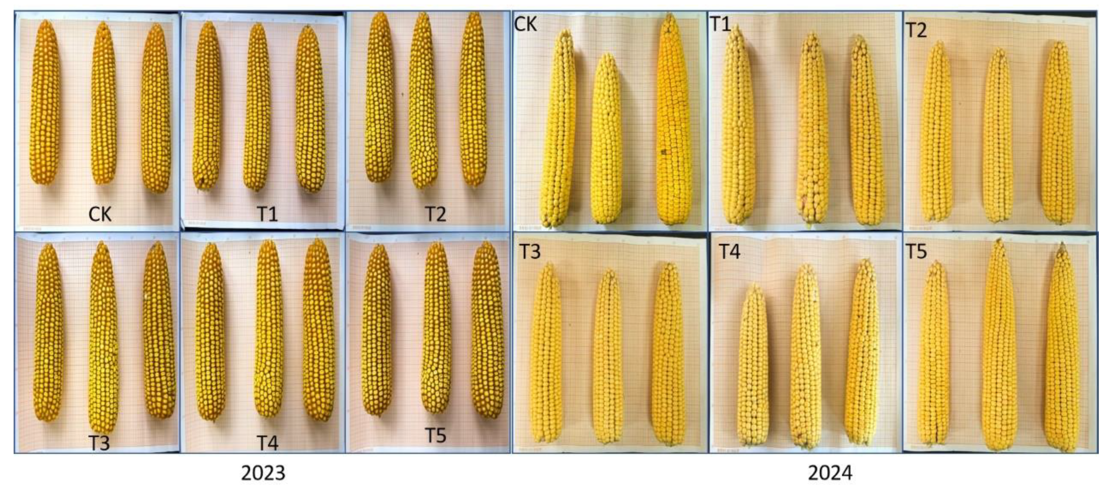 Agronomy 15 00491 g006 Agronomy 15 00491 g006