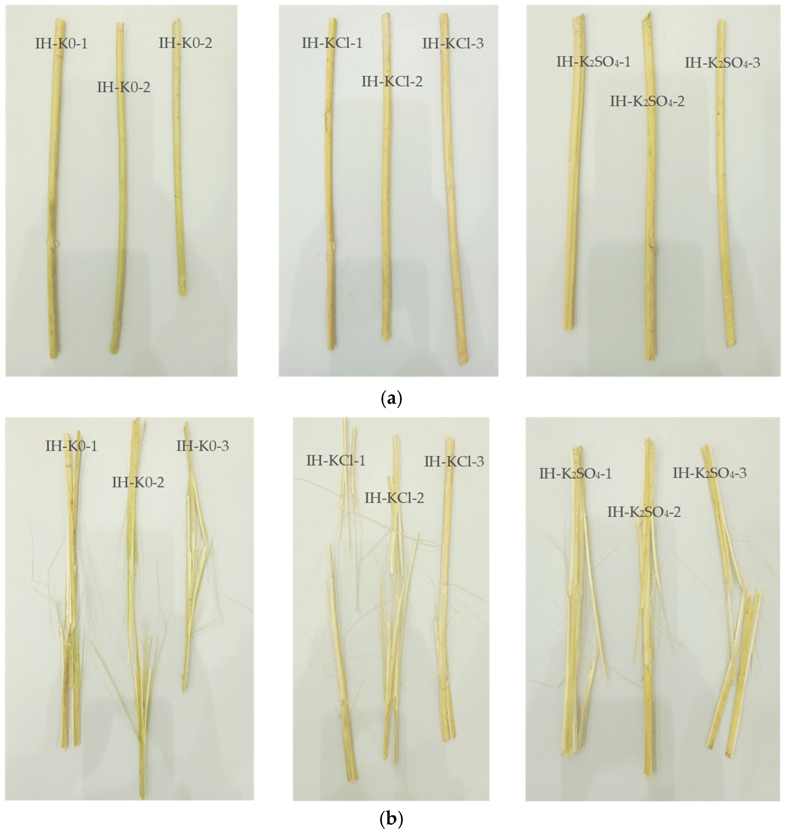Agronomy 15 00496 g006