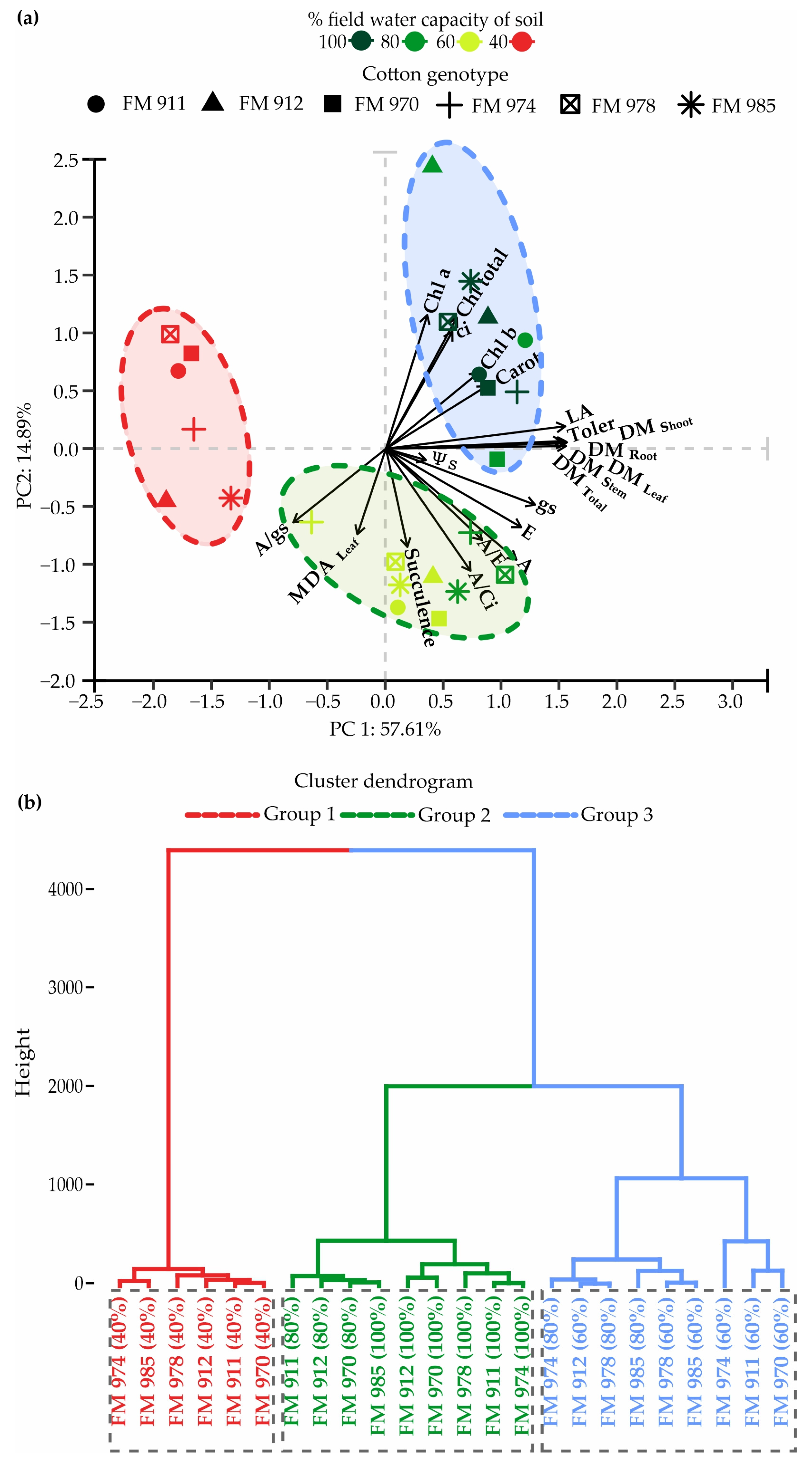 Agronomy 15 00500 g005