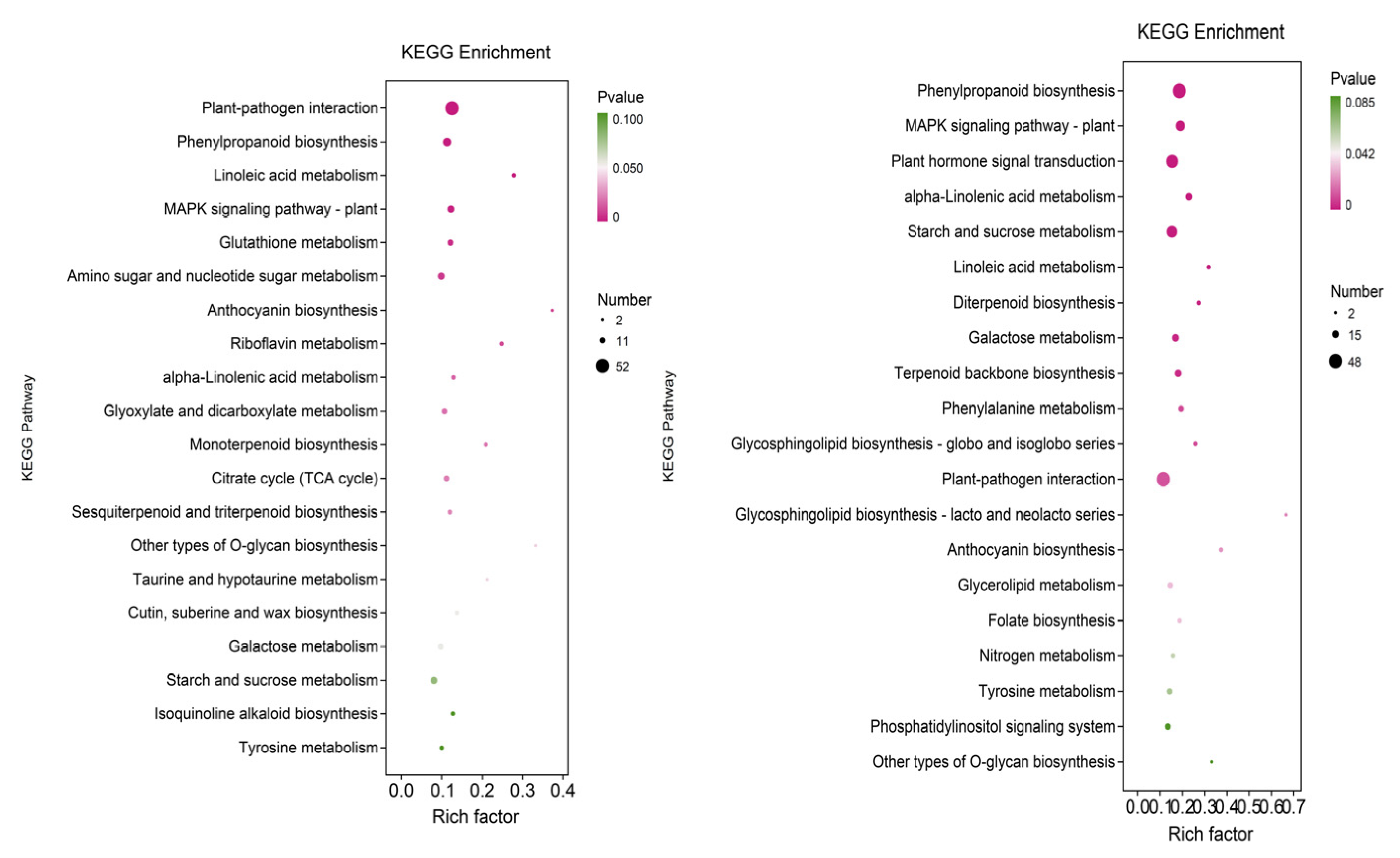 Agronomy 15 00505 g005