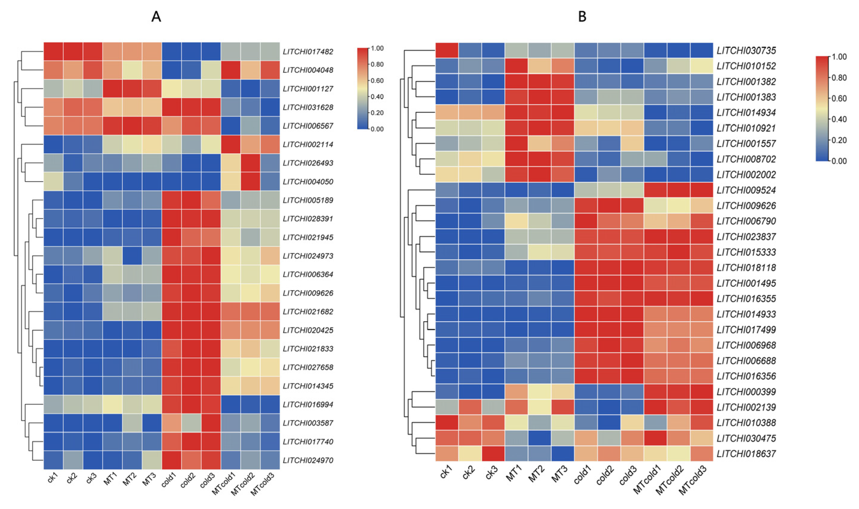 Agronomy 15 00505 g006