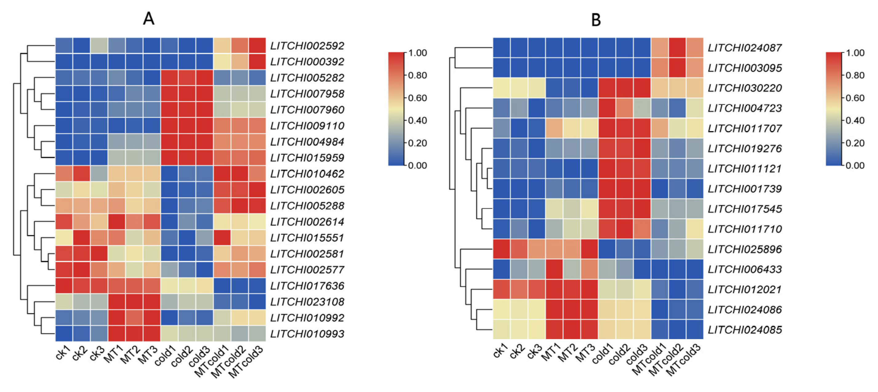 Agronomy 15 00505 g007