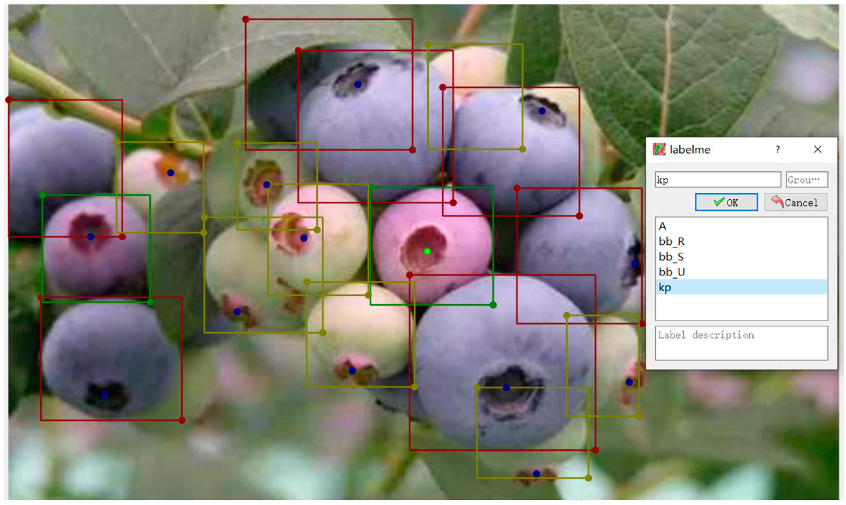 Agronomy 15 00535 g004