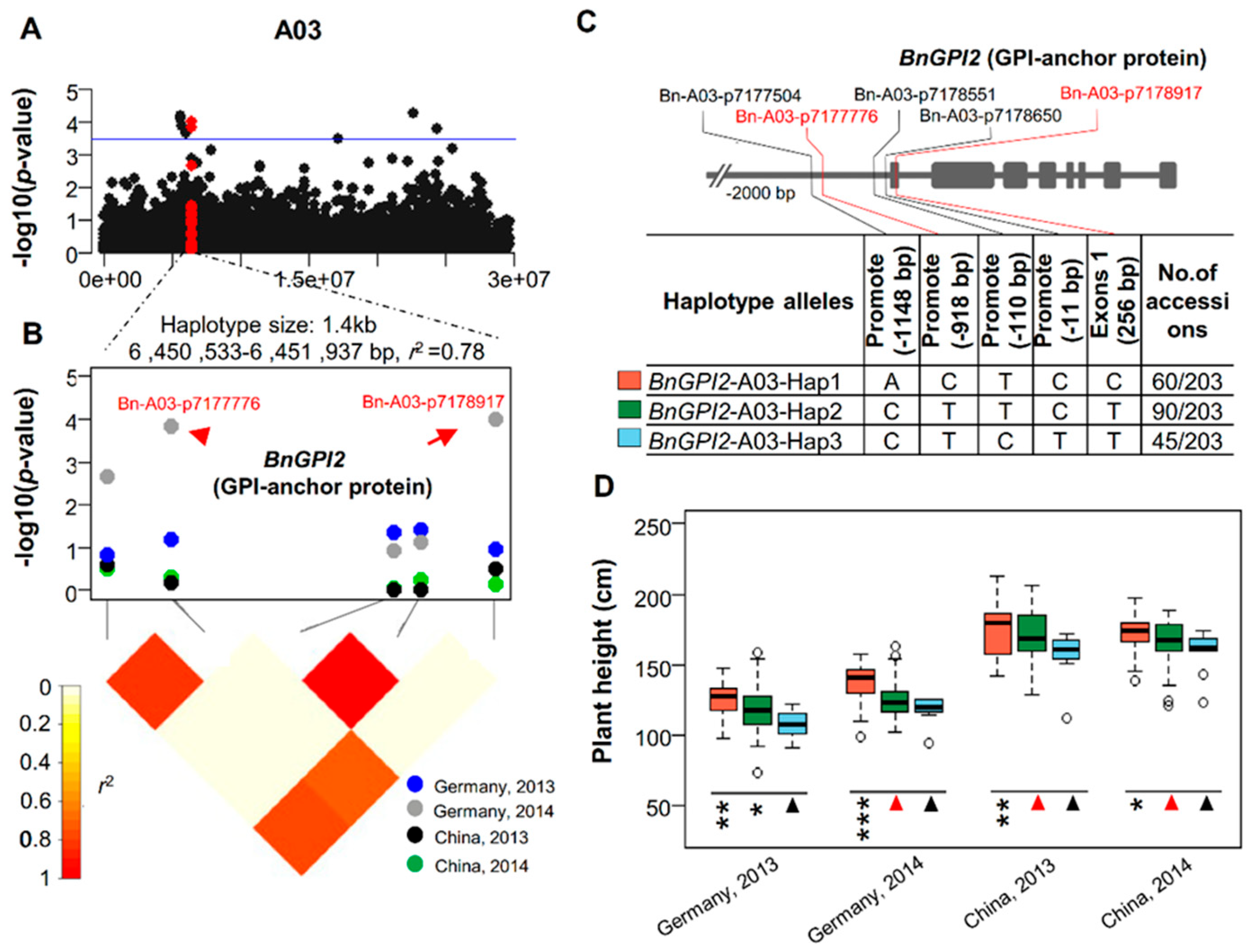 Agronomy 15 00554 g001
