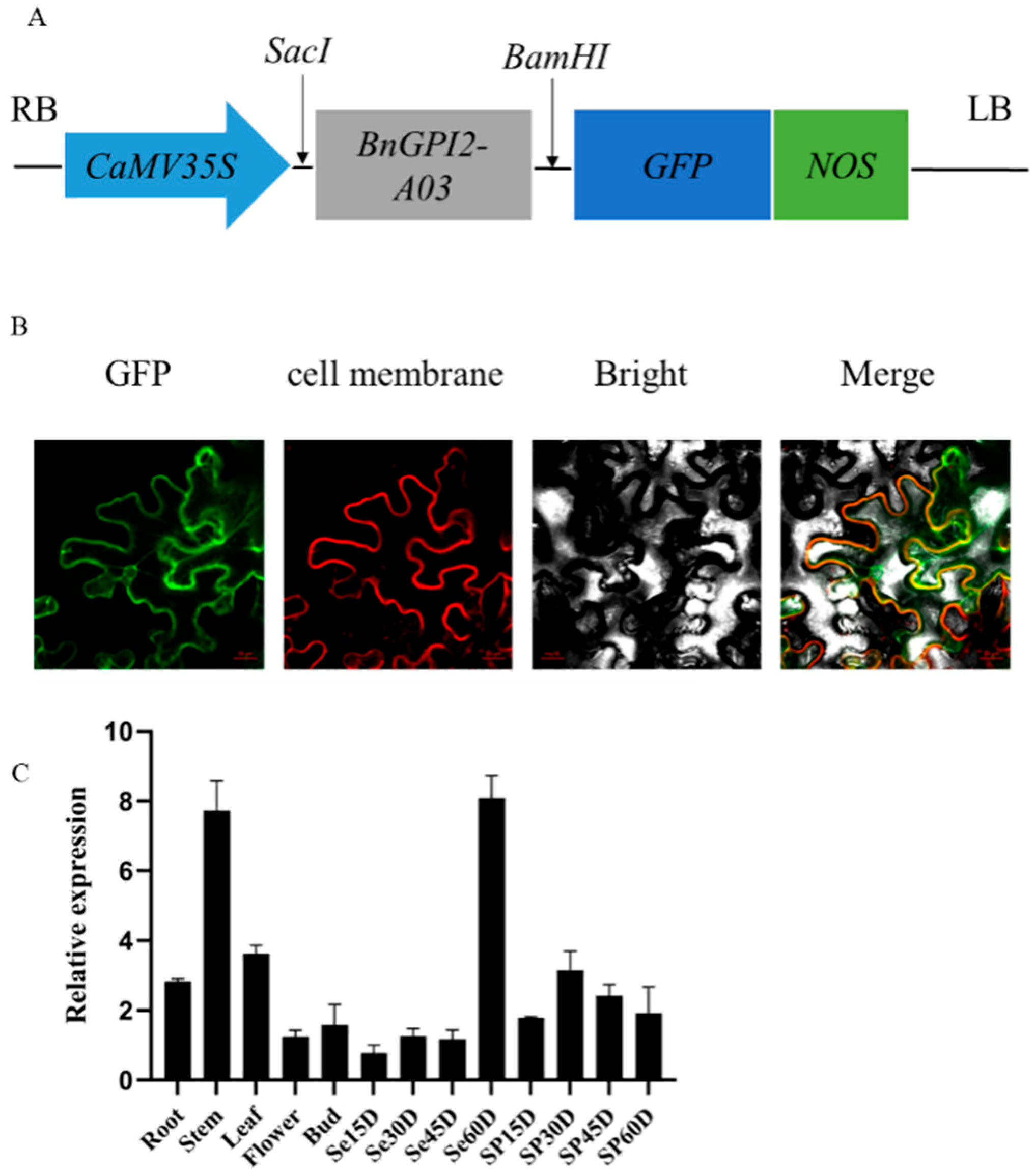Agronomy 15 00554 g002