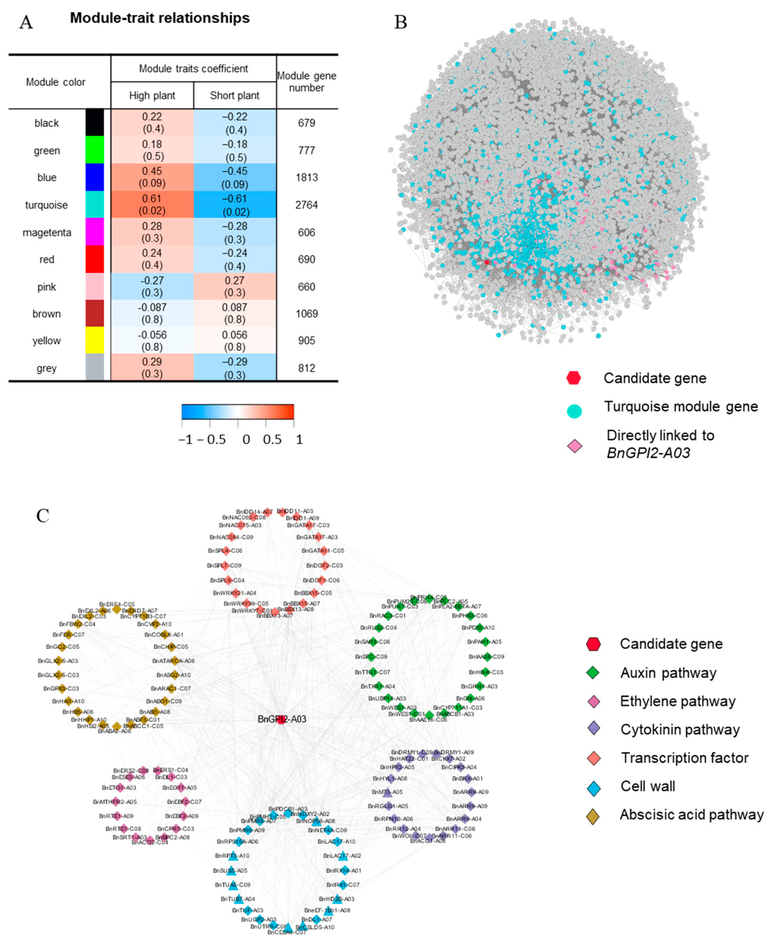 Agronomy 15 00554 g003