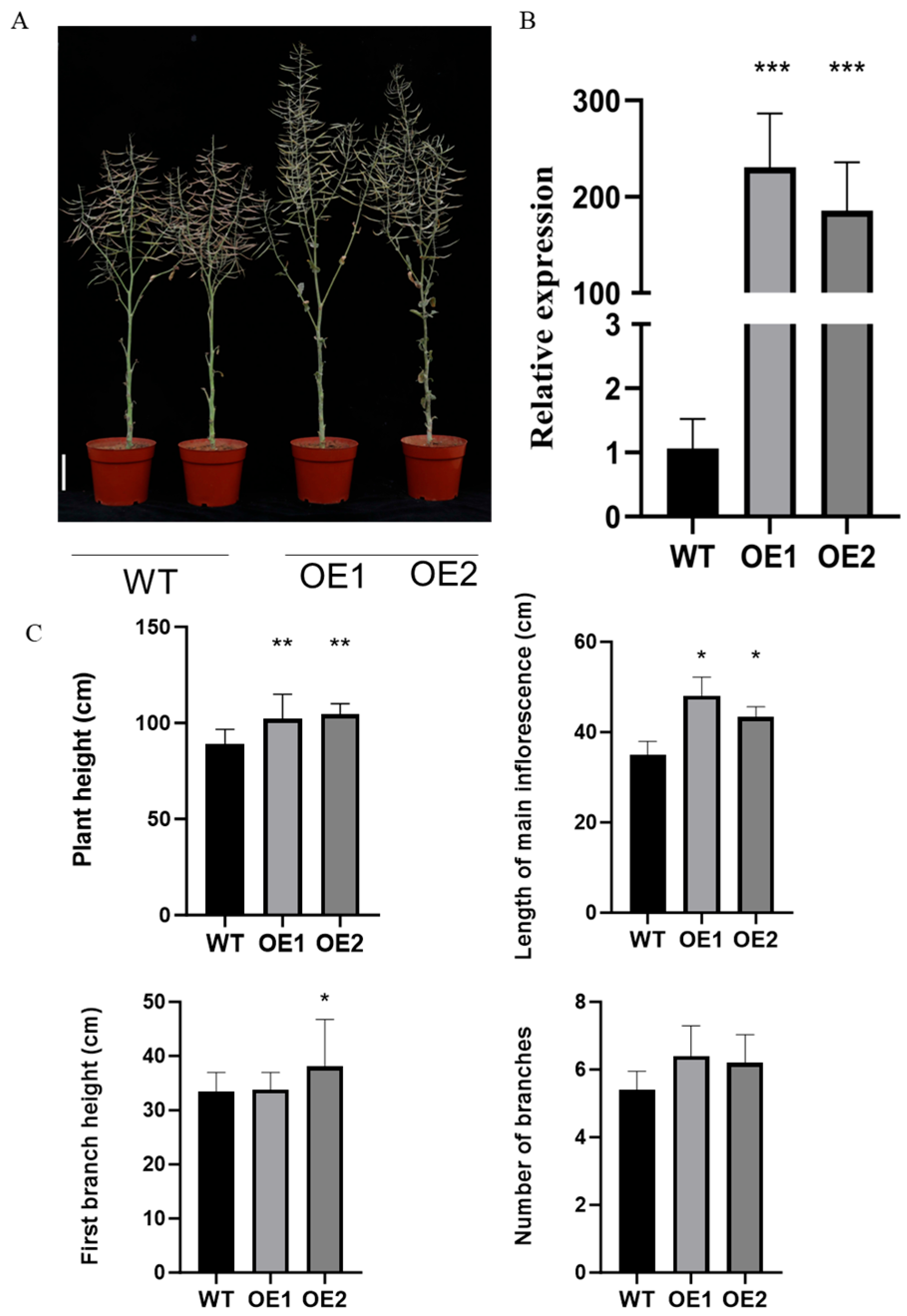 Agronomy 15 00554 g004