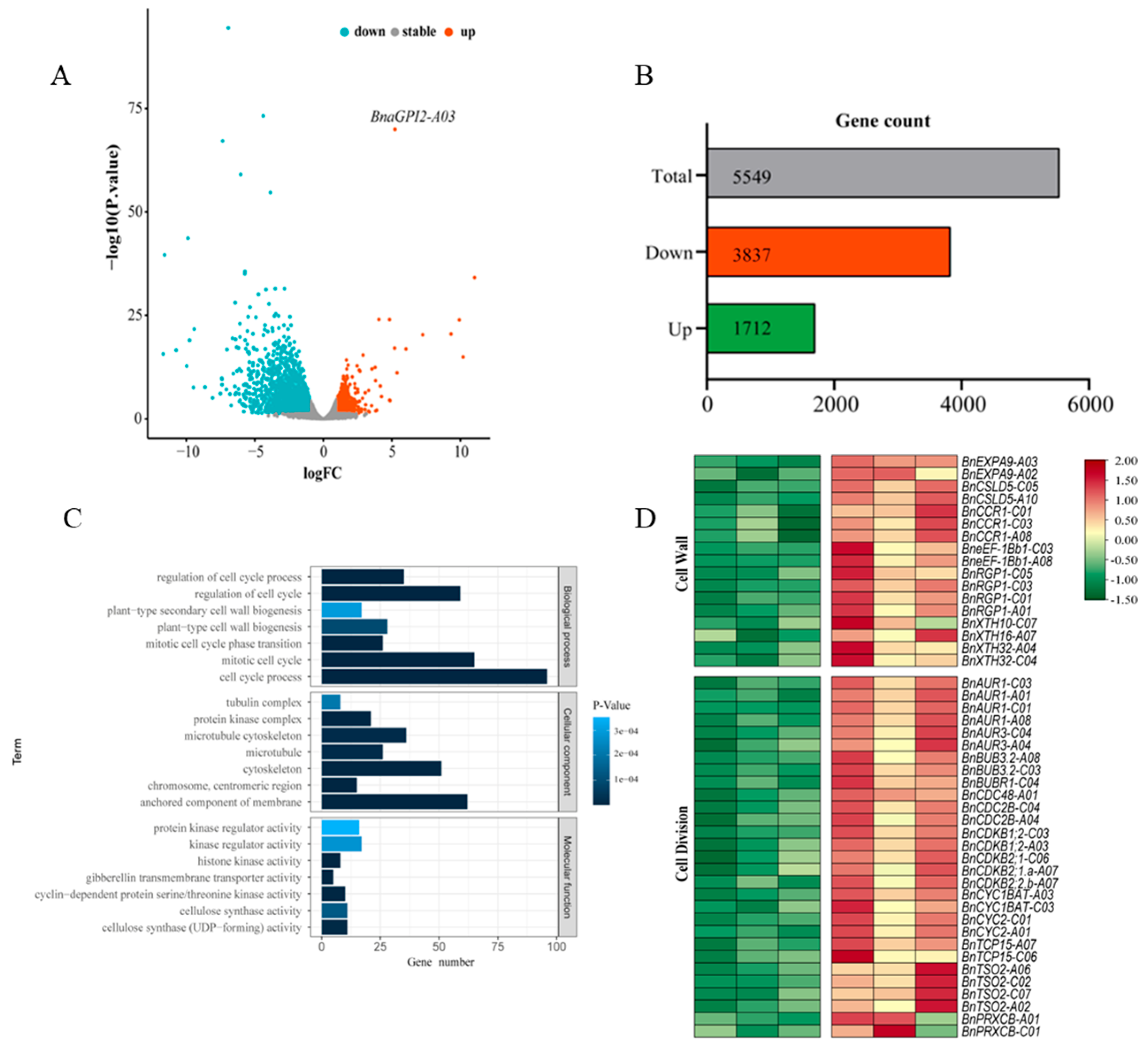 Agronomy 15 00554 g005
