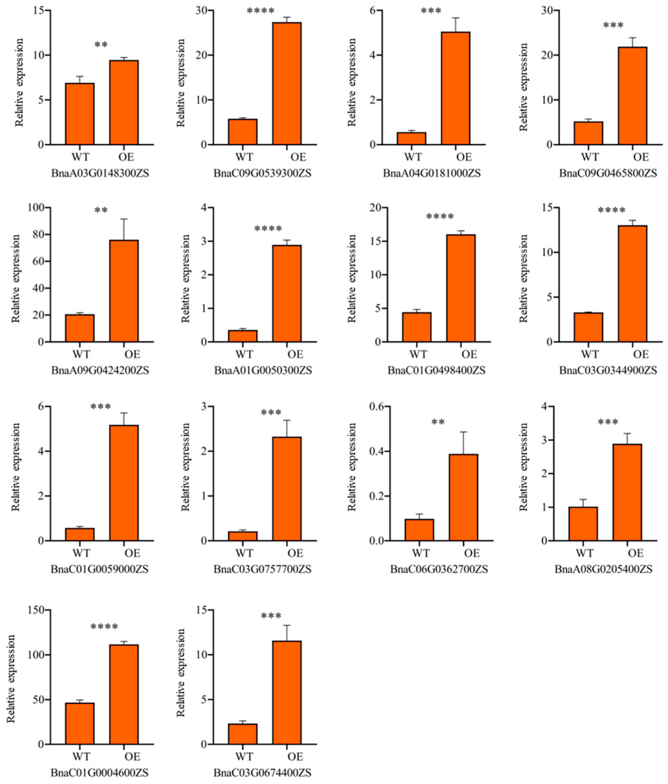 Agronomy 15 00554 g006