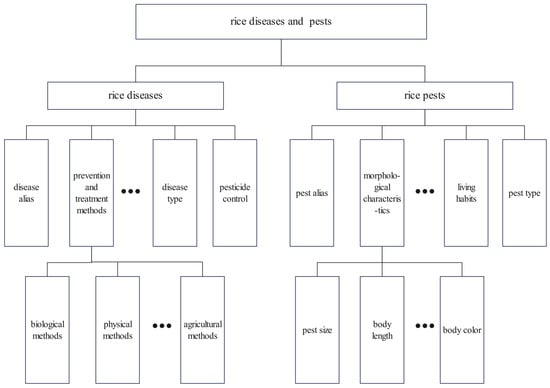 Agronomy 15 00566 g007