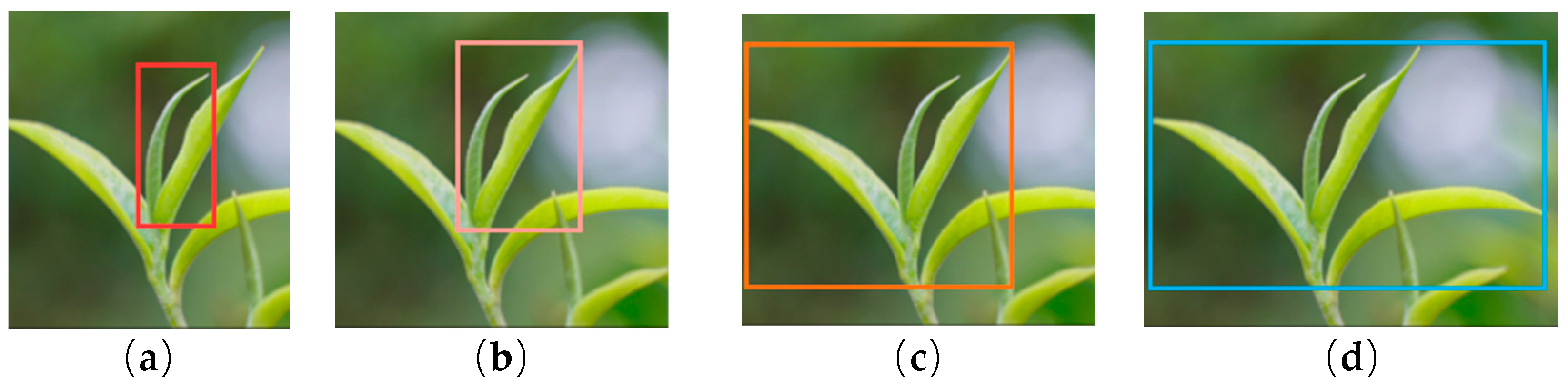 Agronomy 15 00582 g002