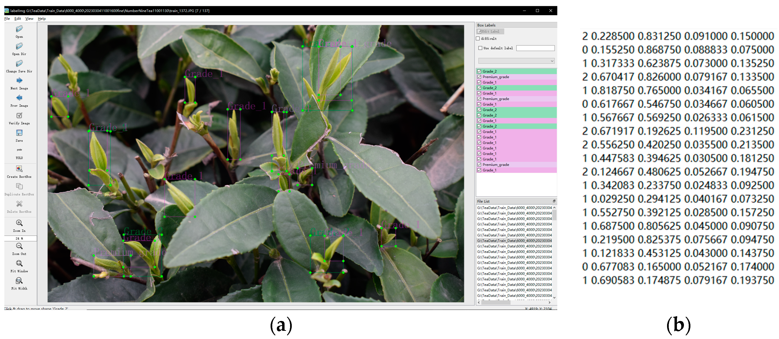 Agronomy 15 00582 g003