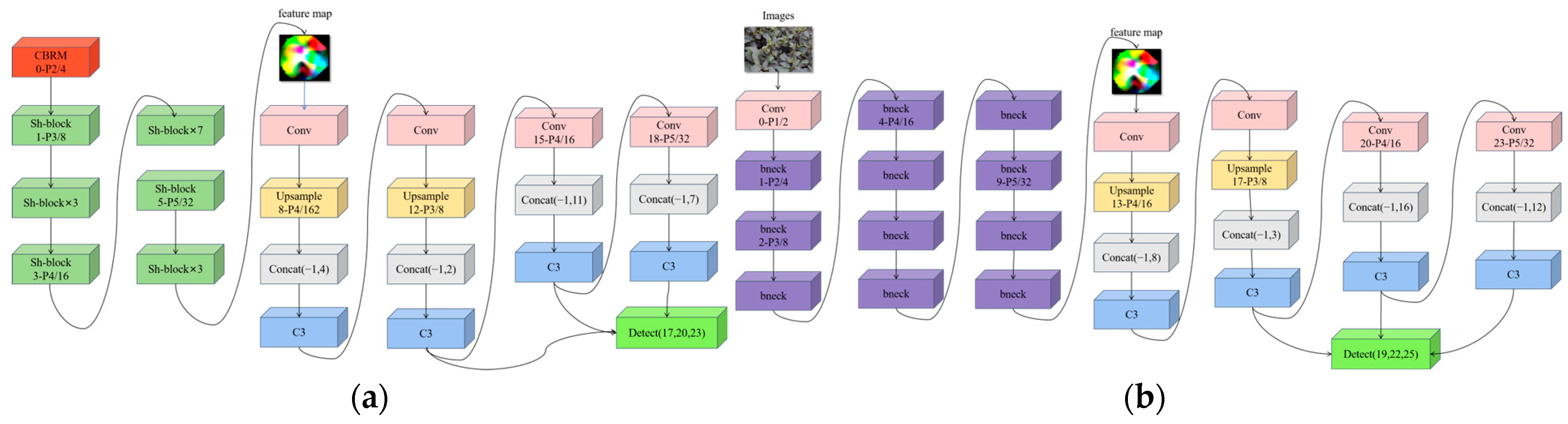 Agronomy 15 00582 g012