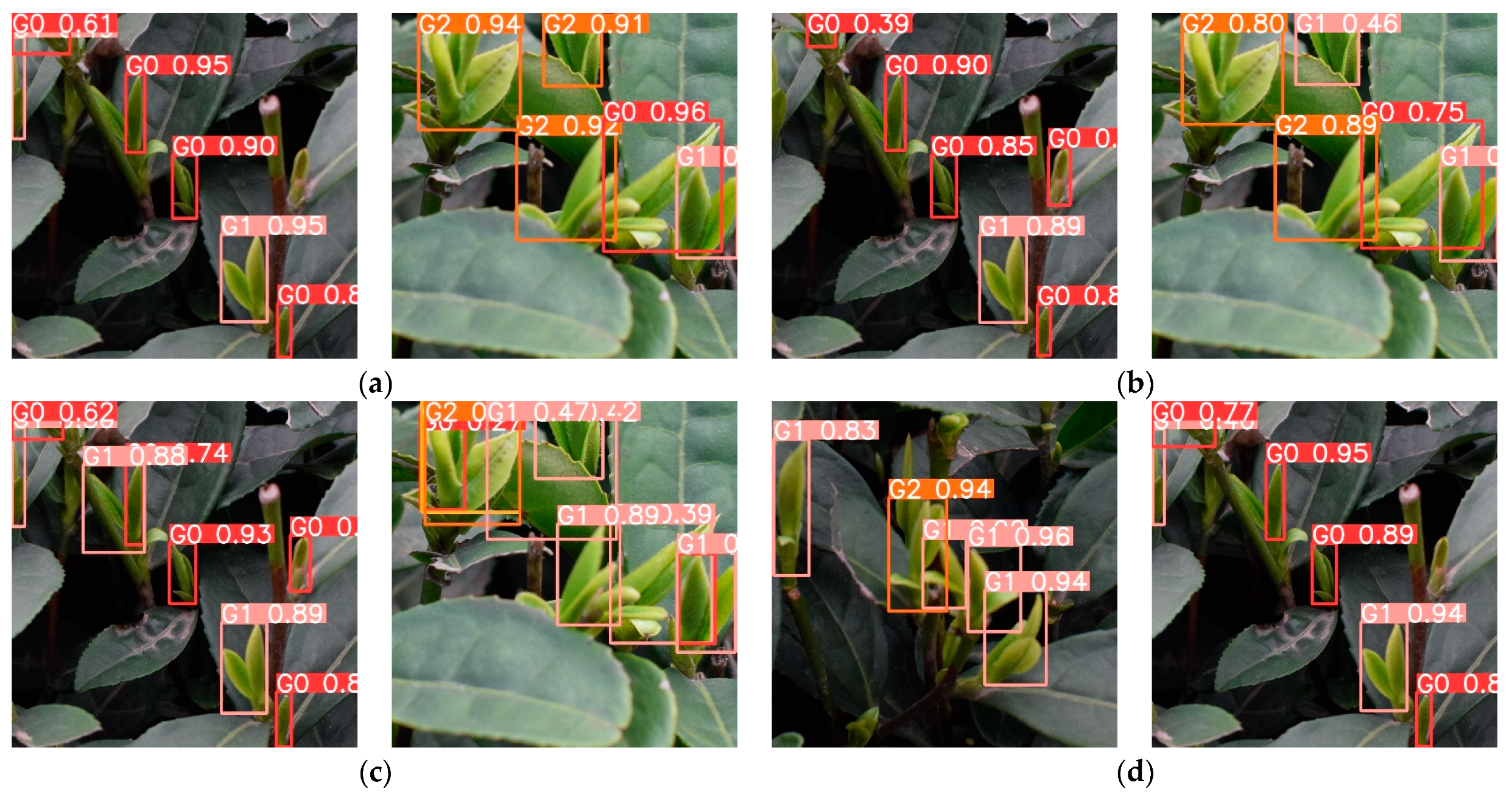 Agronomy 15 00582 g016a