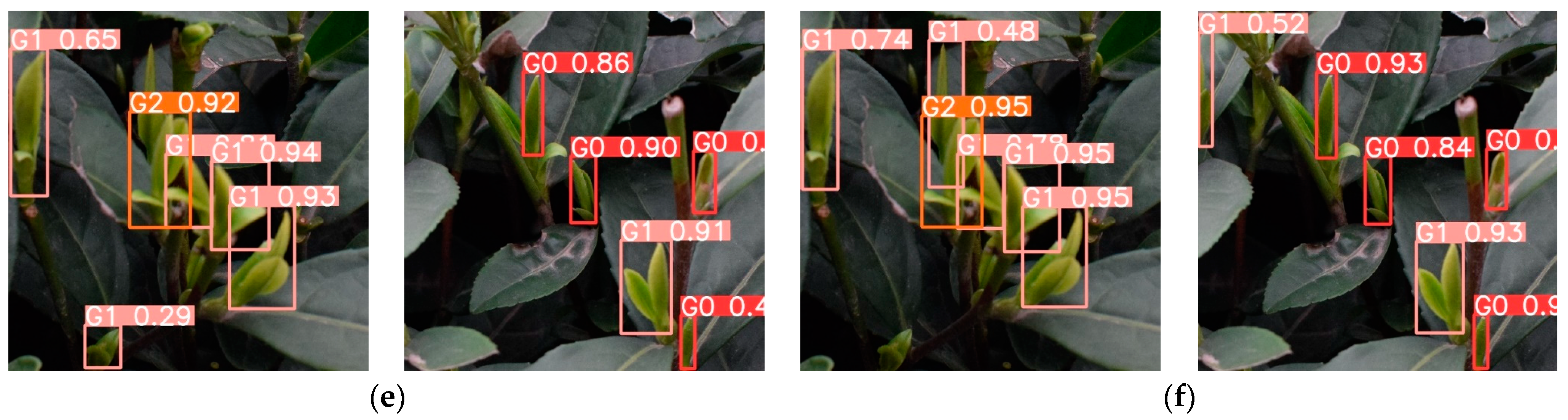 Agronomy 15 00582 g016b