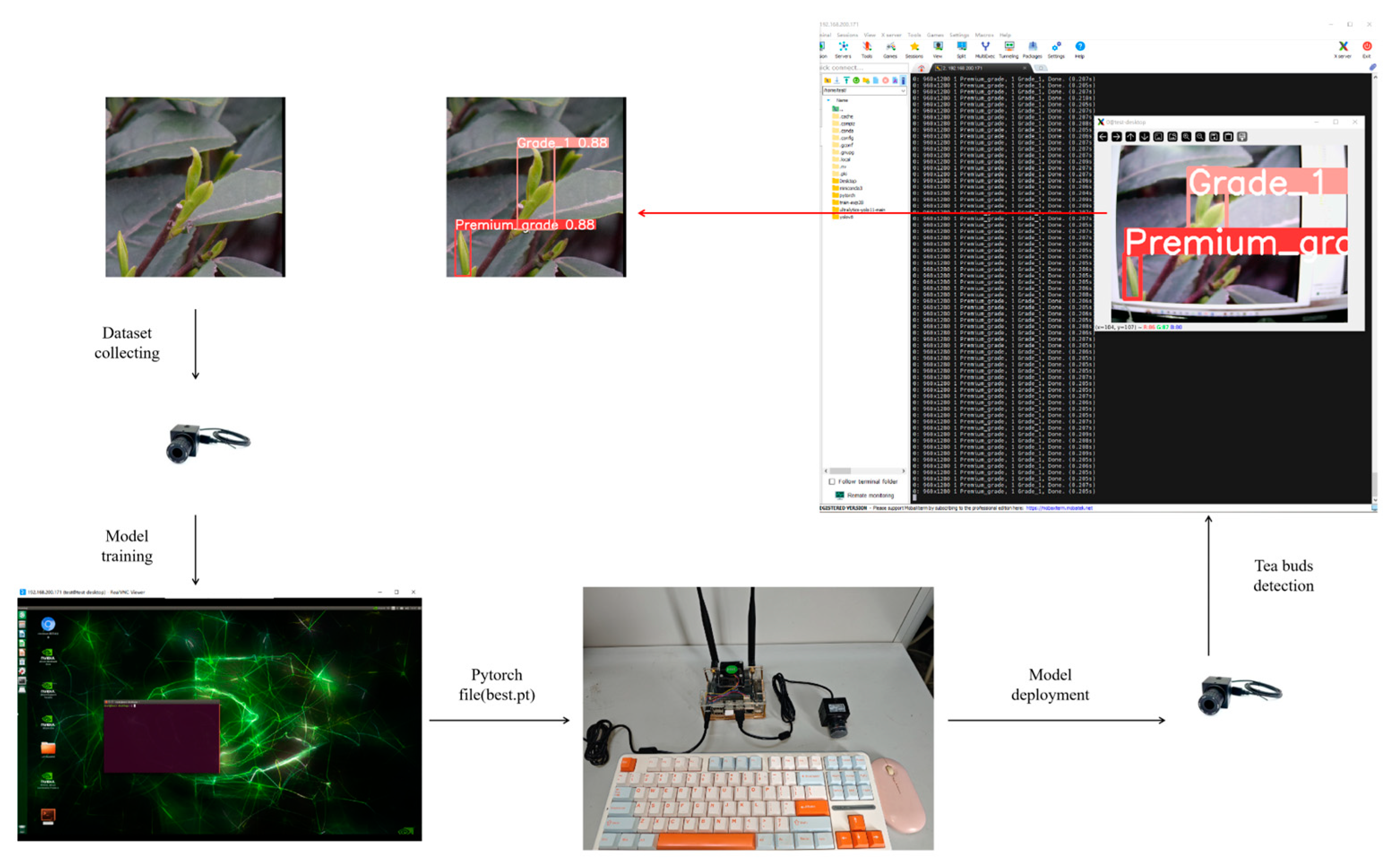 Agronomy 15 00582 g017