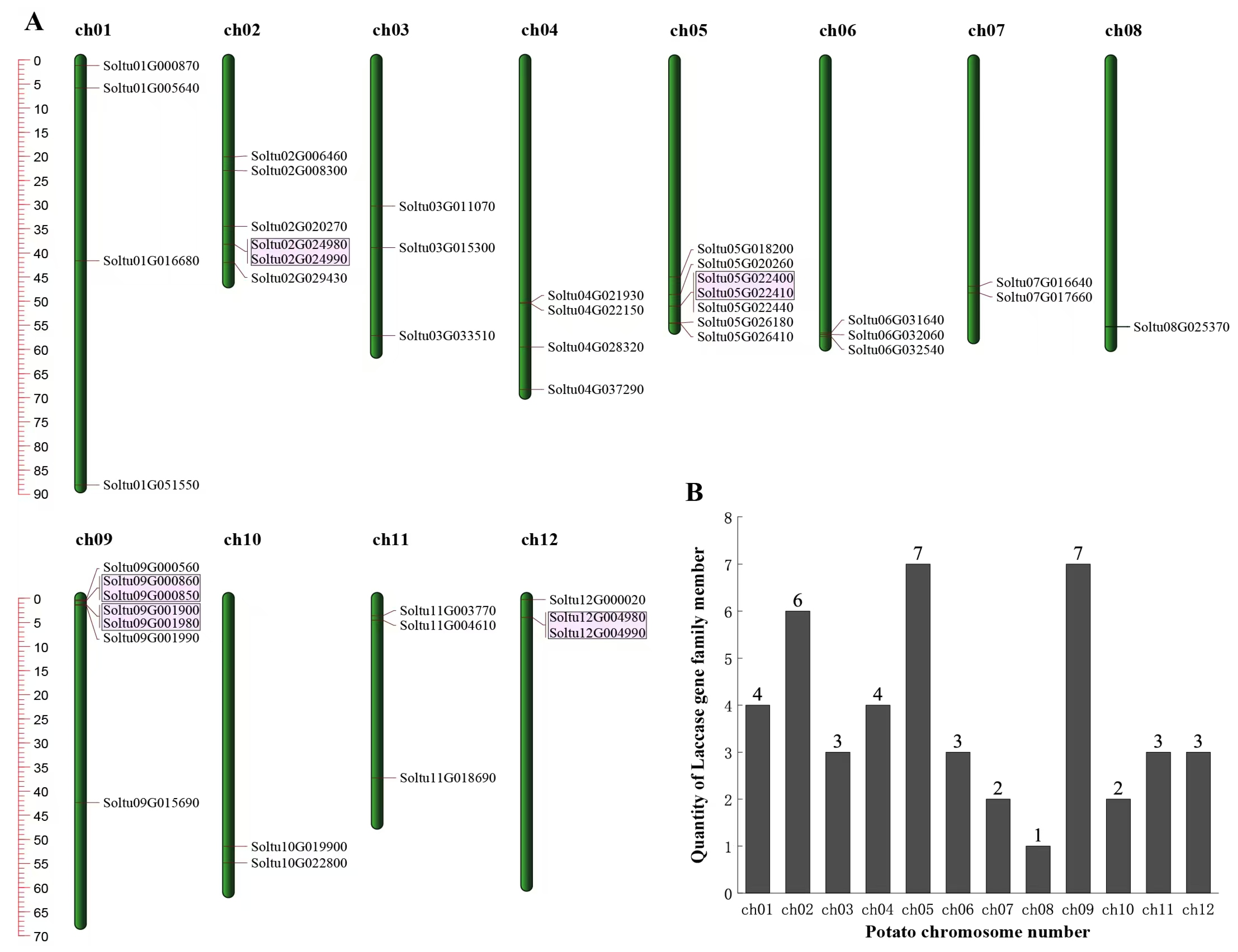 Agronomy 15 00585 g001
