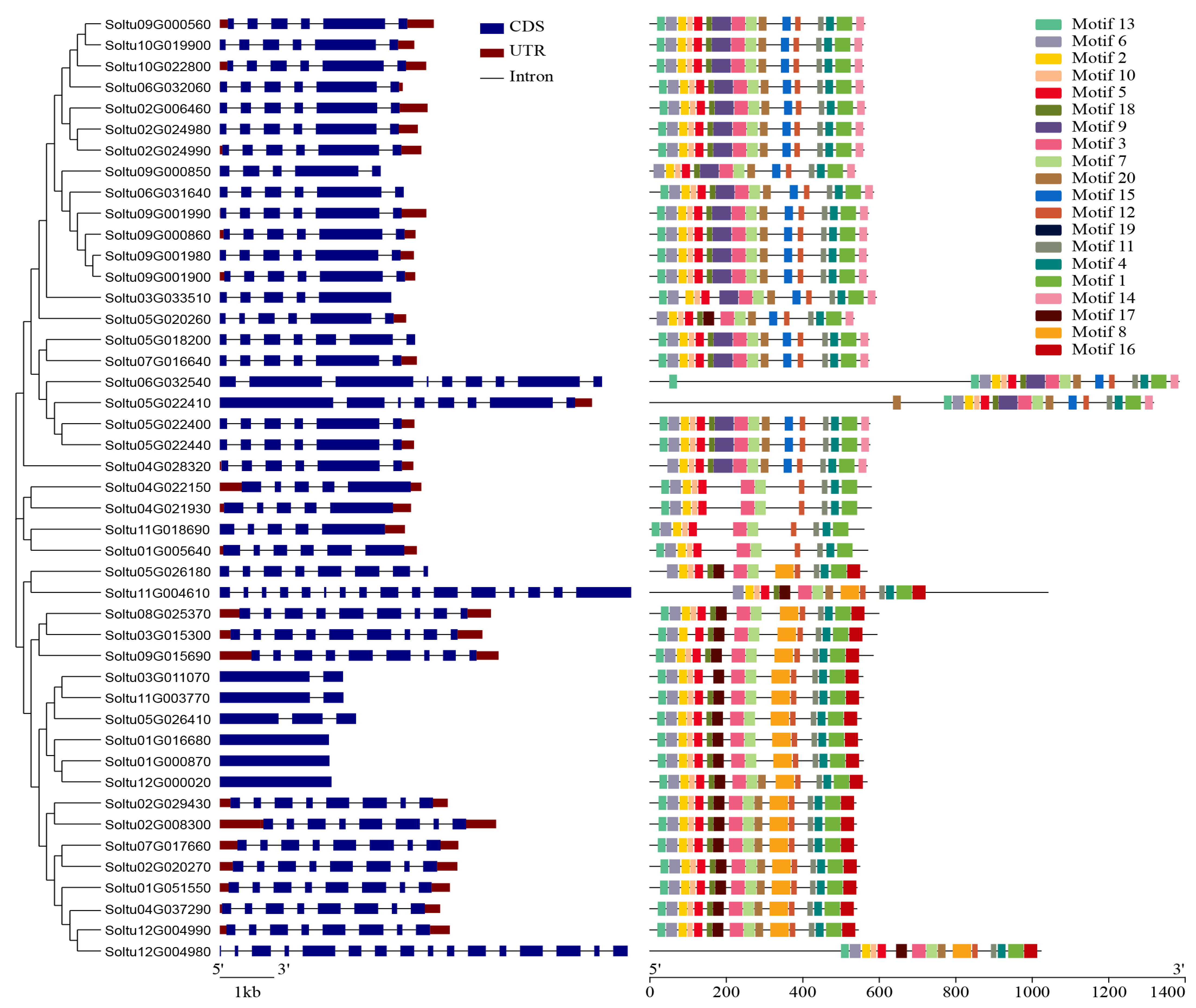 Agronomy 15 00585 g003