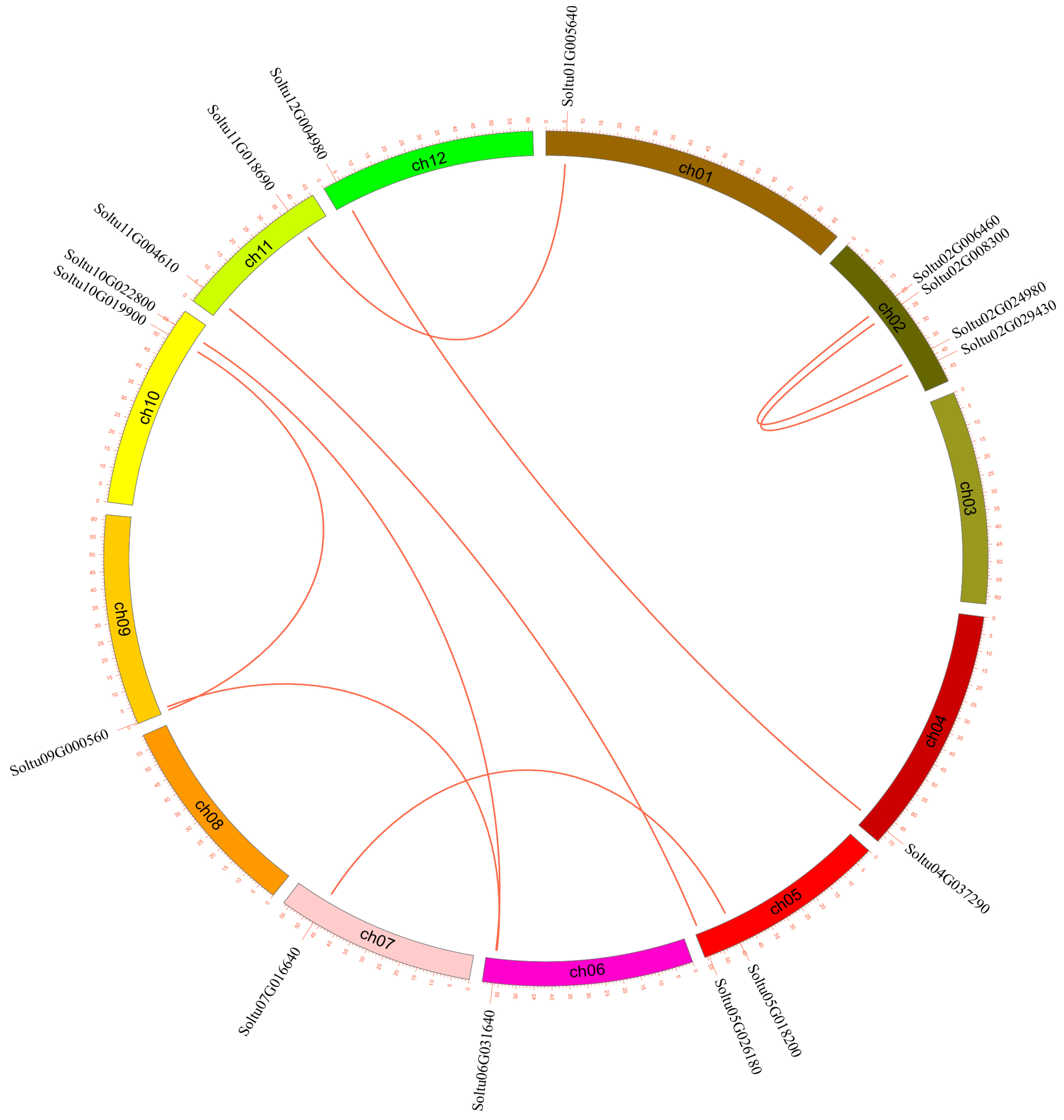 Agronomy 15 00585 g004