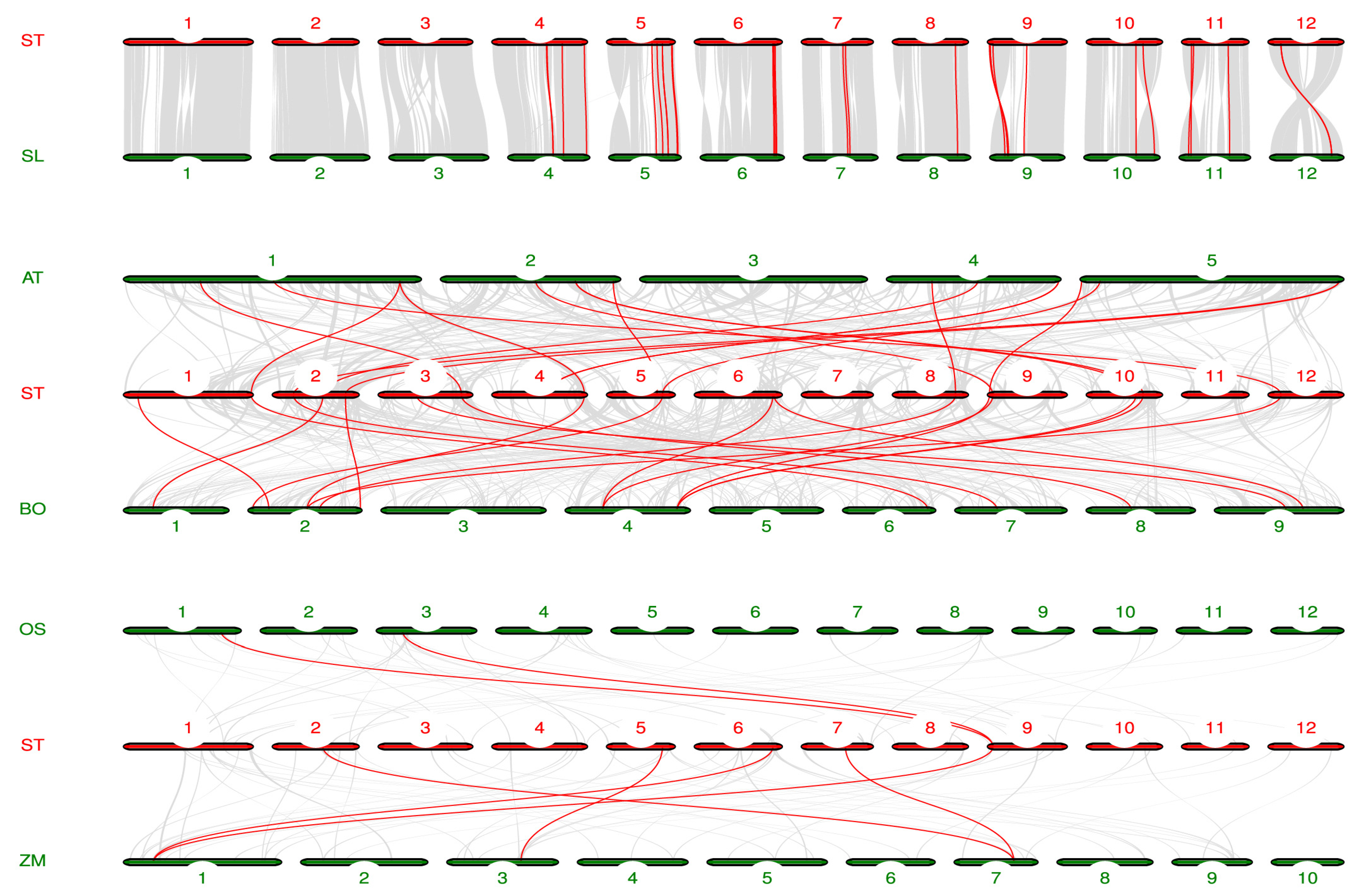 Agronomy 15 00585 g005