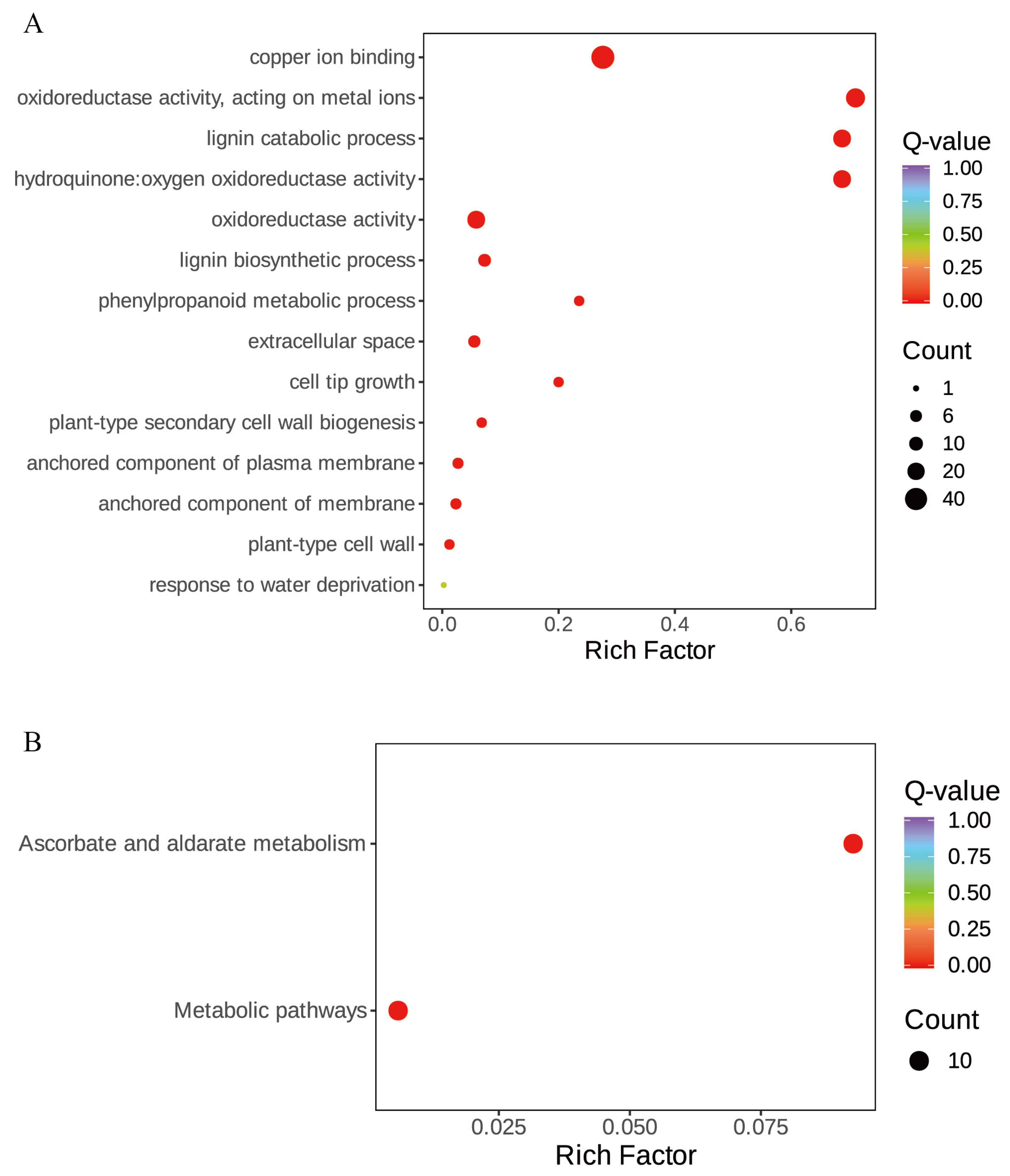 Agronomy 15 00585 g007