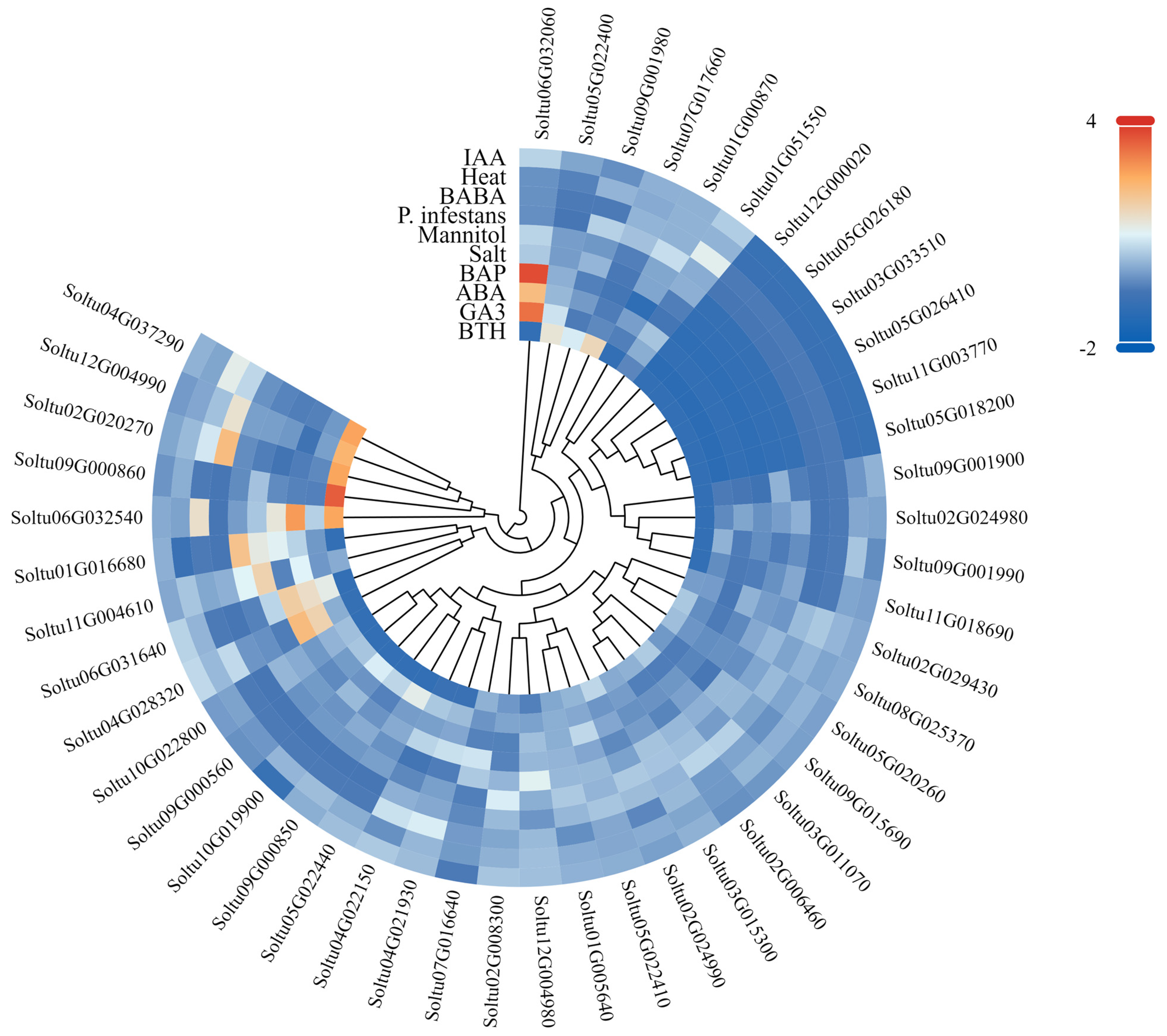 Agronomy 15 00585 g008