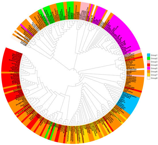 Agronomy 15 00591 g0a1