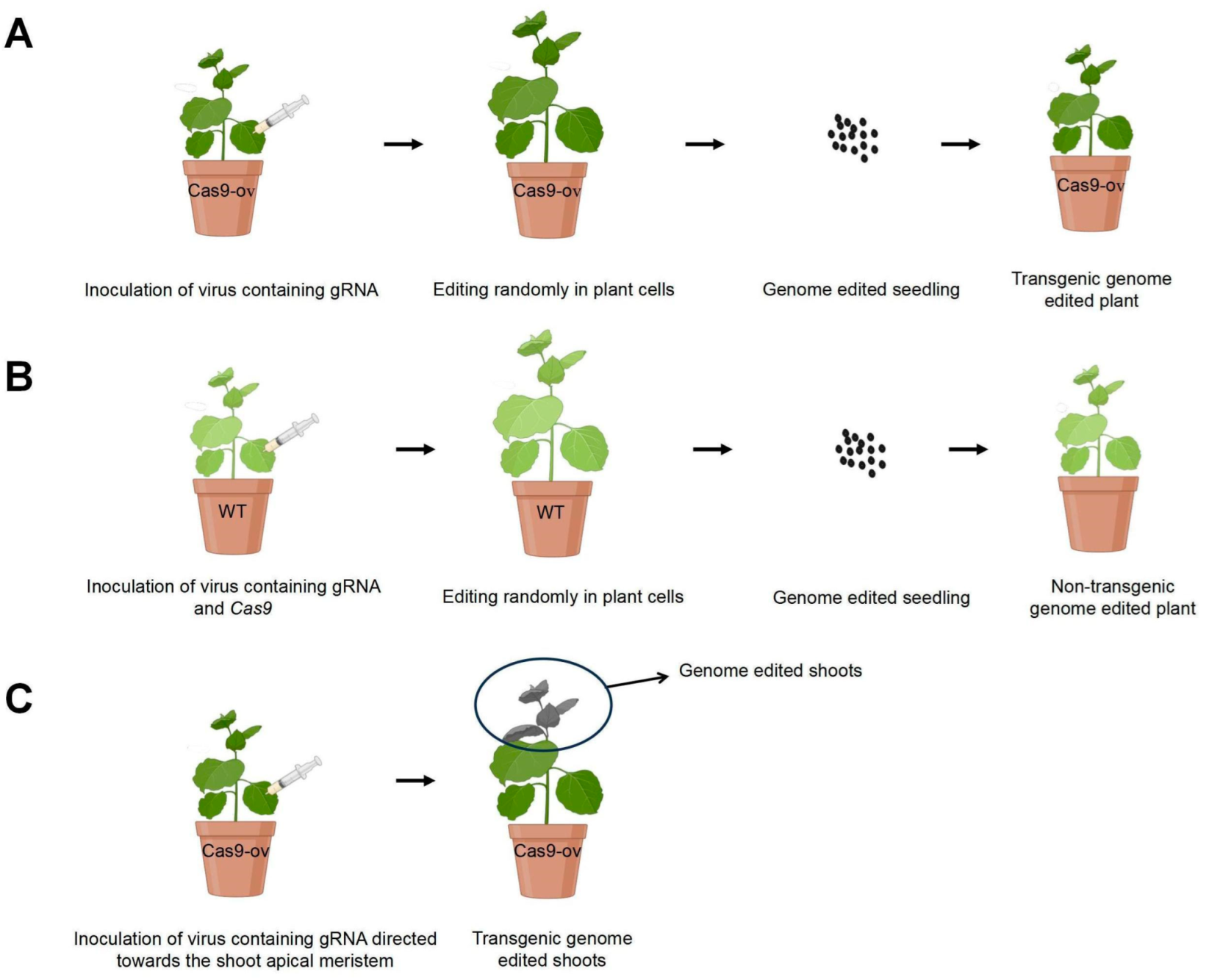 Agronomy 15 00603 g006