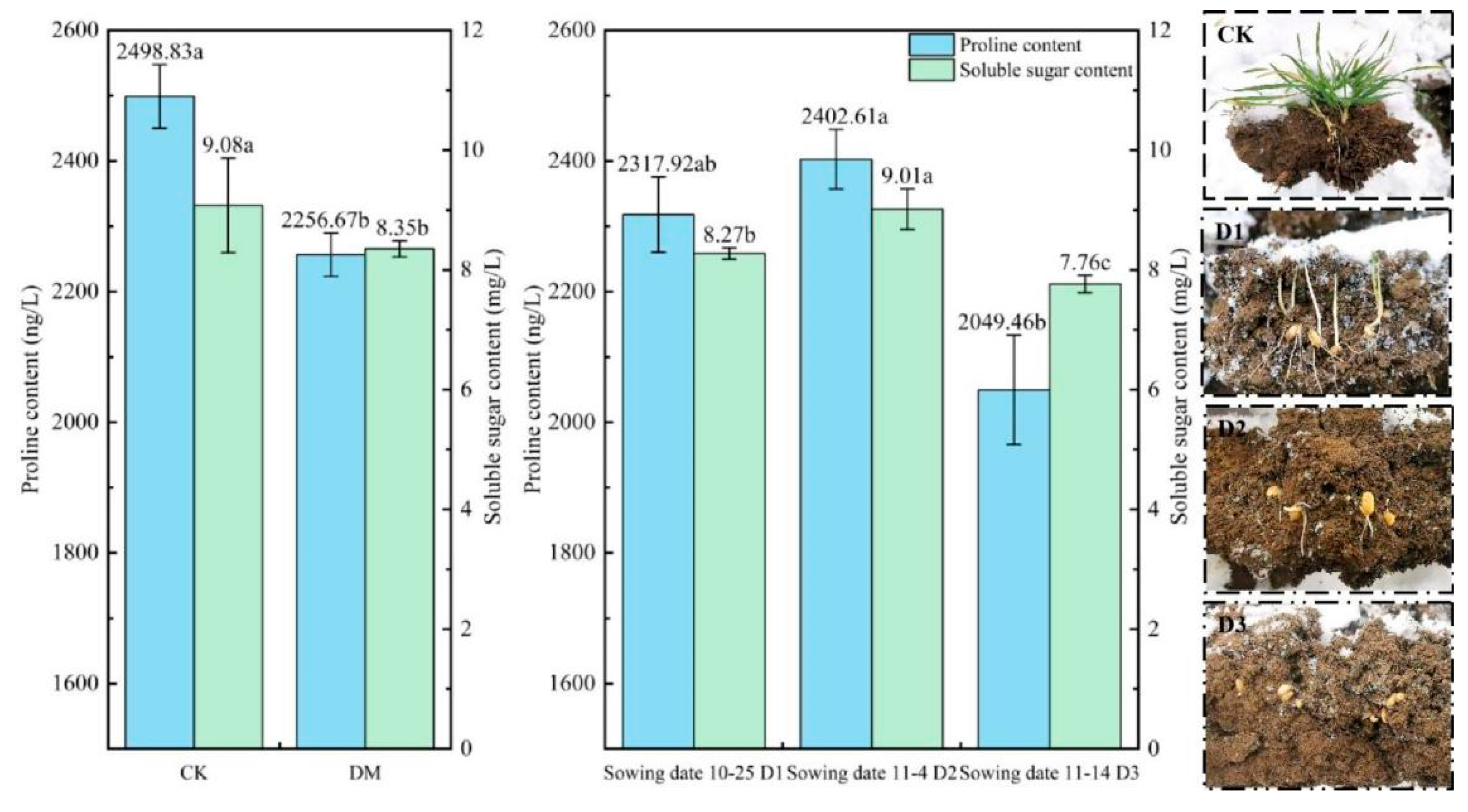 Agronomy 15 00607 g006