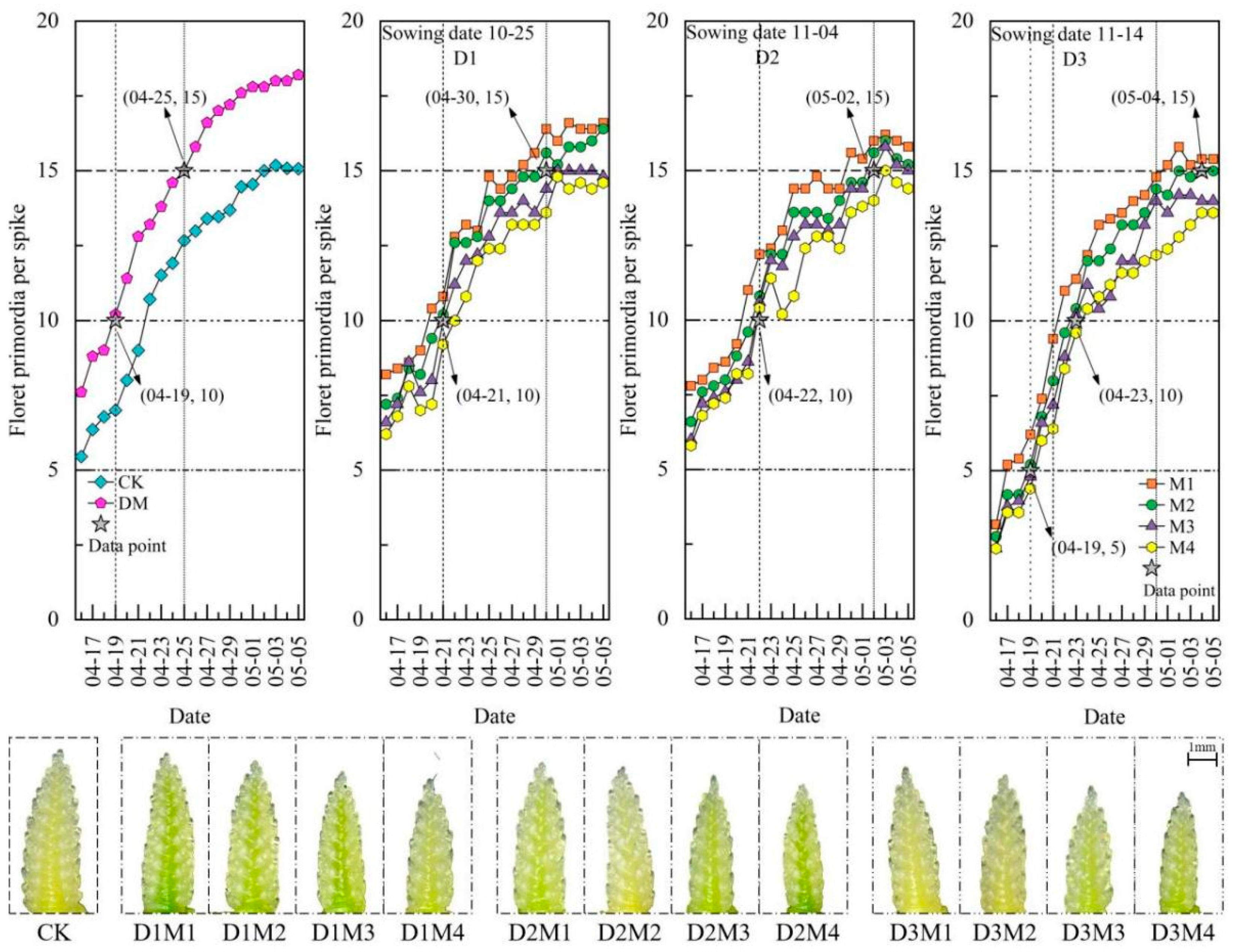 Agronomy 15 00607 g008