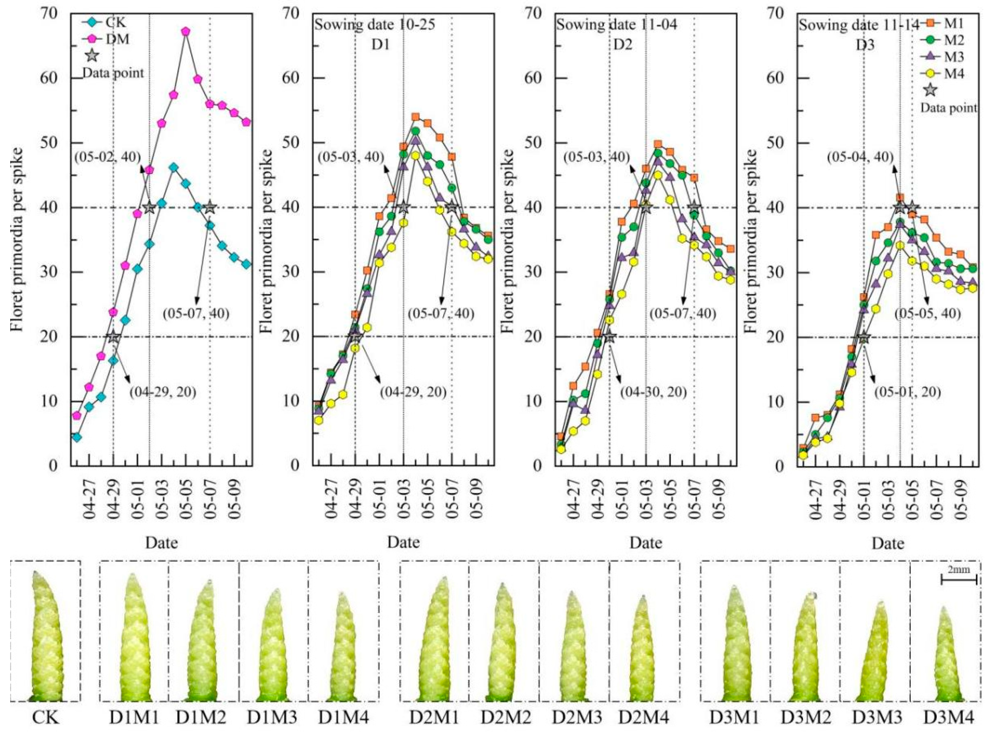 Agronomy 15 00607 g009