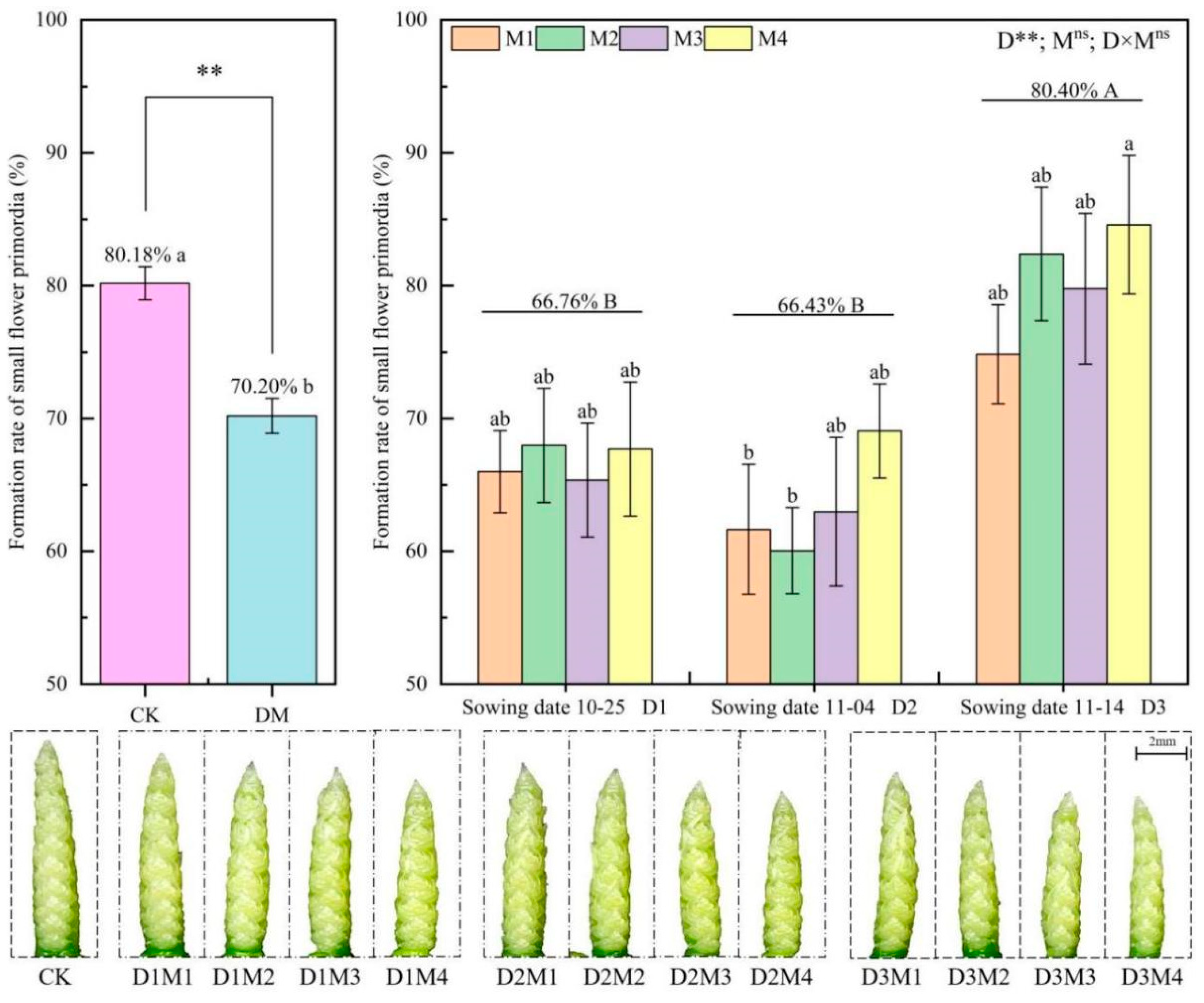 Agronomy 15 00607 g010