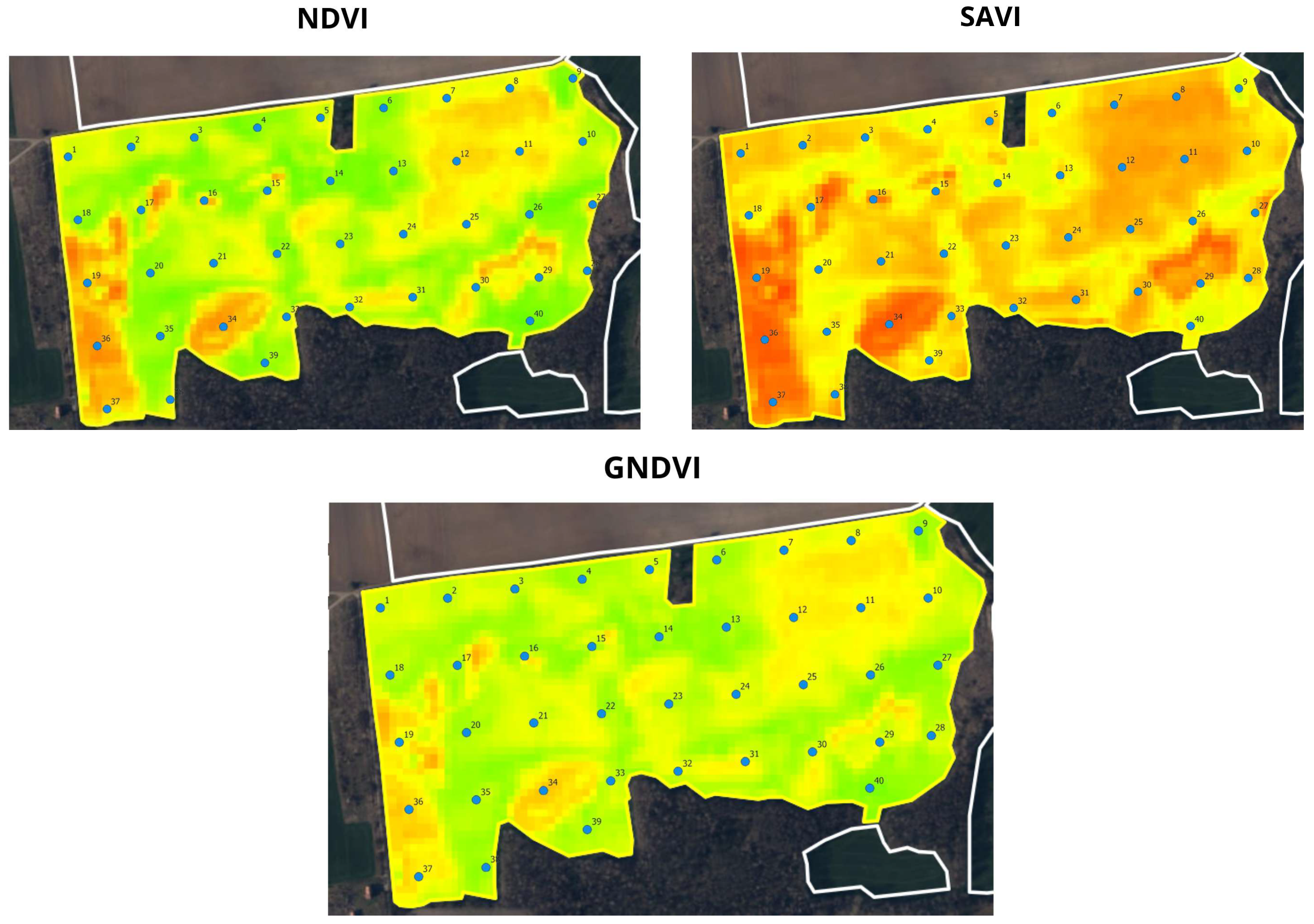 Agronomy 15 00616 g007 Agronomy 15 00616 g007