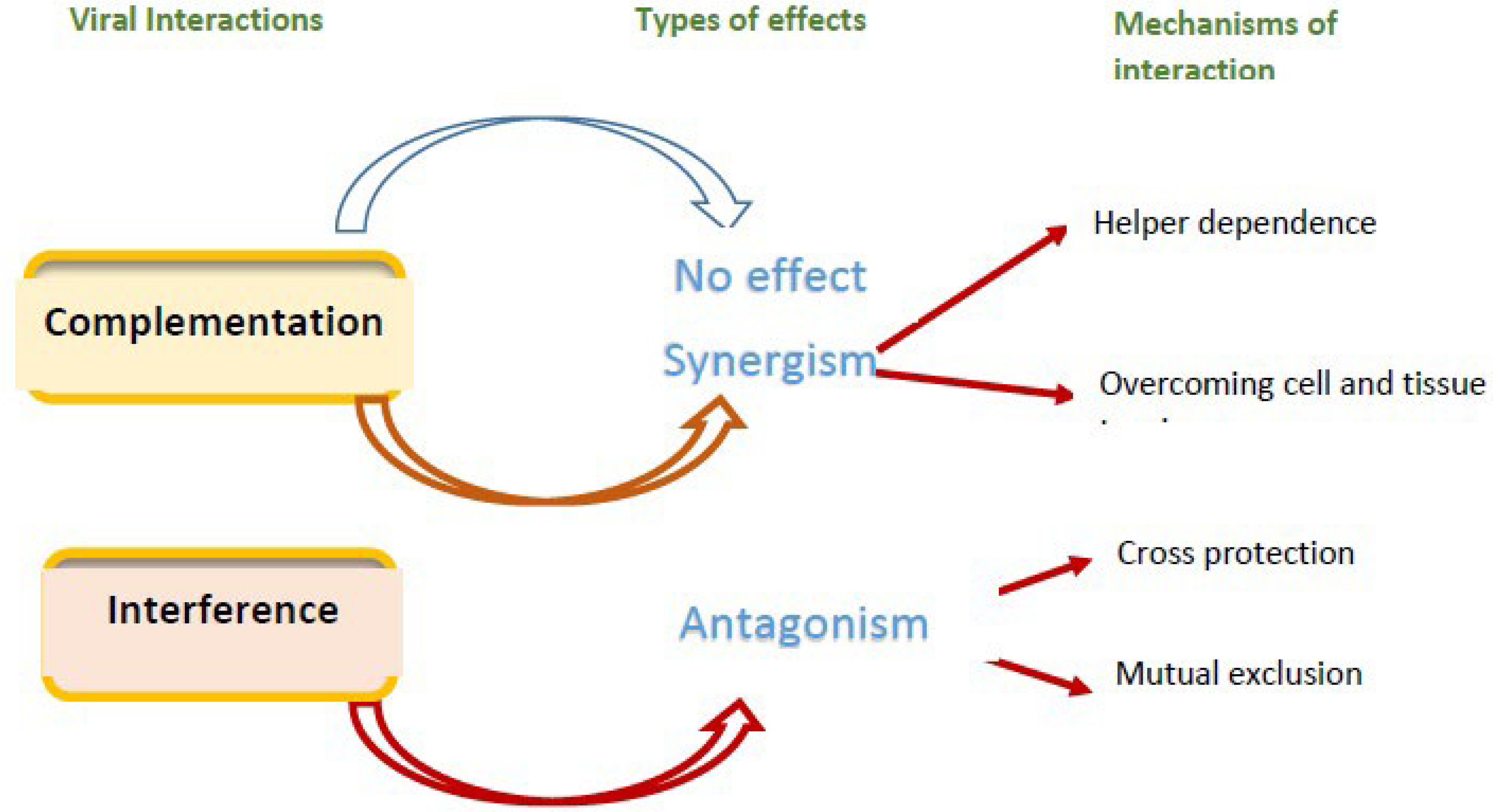 Agronomy 15 00620 g003