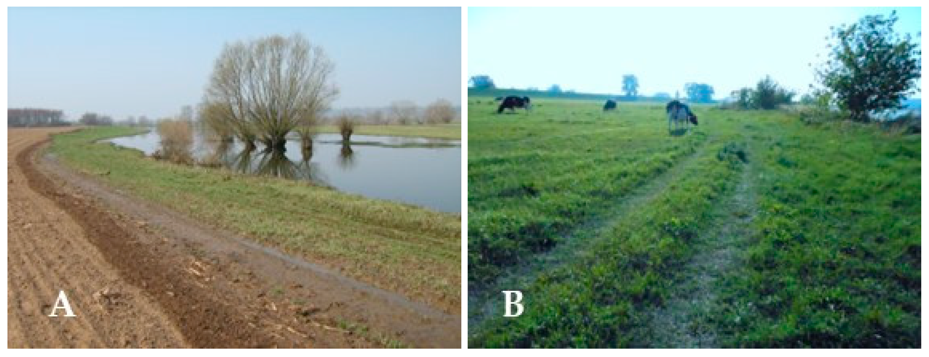Agronomy 15 00628 g002 Agronomy 15 00628 g002